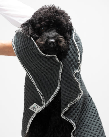 Sally Dotto par Paola NAVONE - Serviettes pour chiens