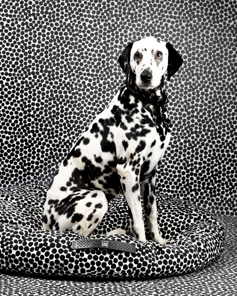 FULVIO DOTTO by Paola NAVONE - Round Cushion