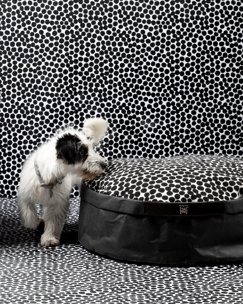 IRVING DOTTO di Paola NAVONE – Cuscino di carta