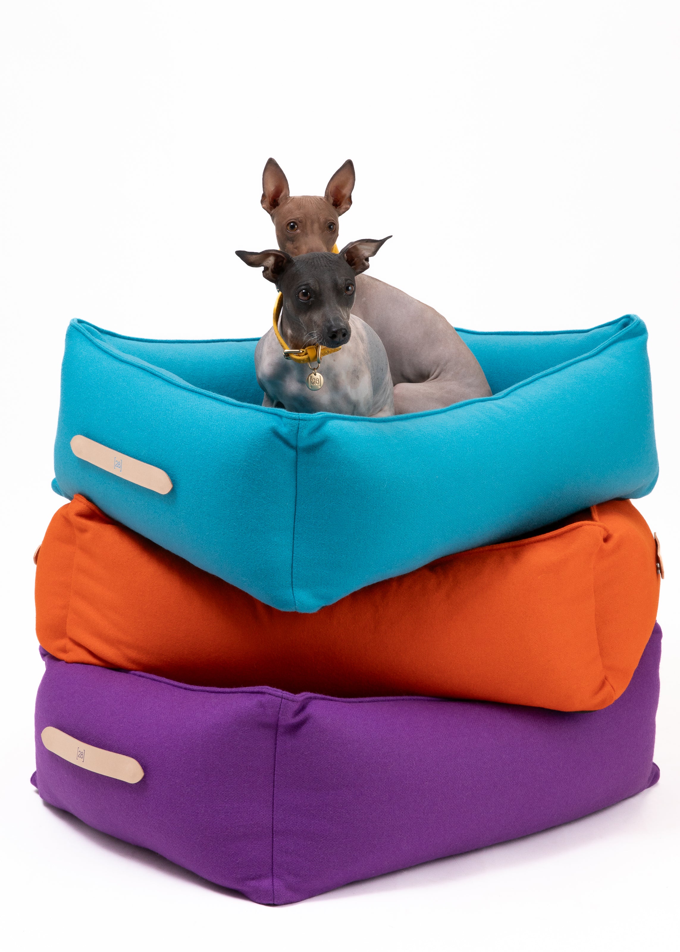Edward – Buntes Hundebett aus reiner Wolle