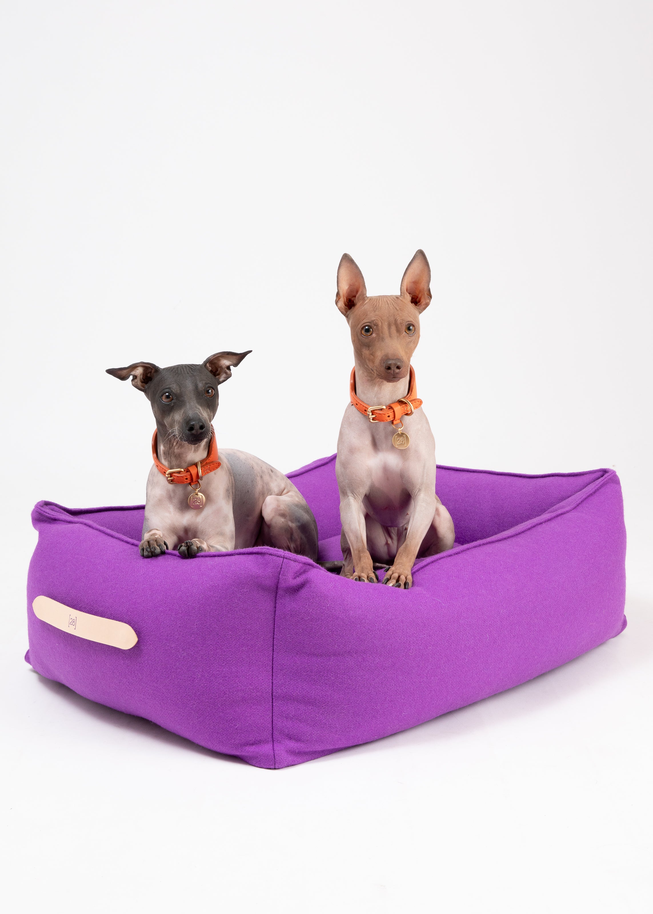 Edward – Buntes Hundebett aus reiner Wolle