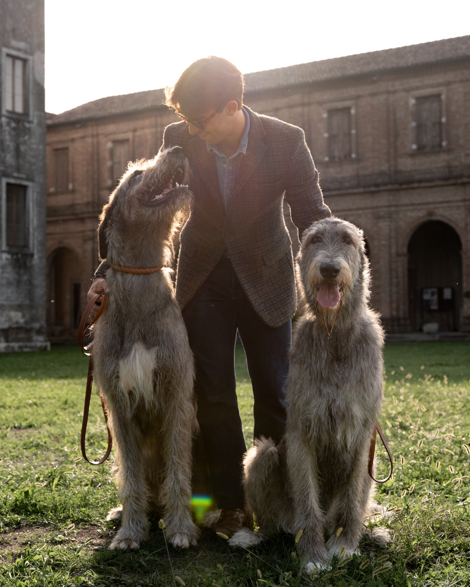 Ferdinando - Geflochtenes Hundehalsband
