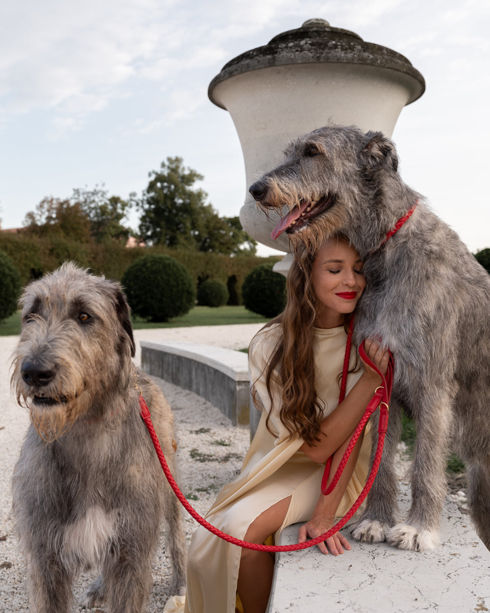 Ferdinando - Laisse tressée en cuir pour chien