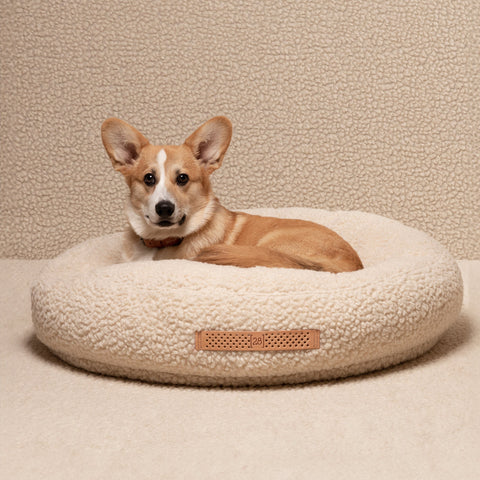 Fulvio – Hundekissen aus Bouclé-Wolle