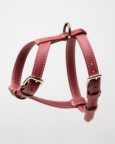 Gabriele – H-Shaped Leather Dog Harness