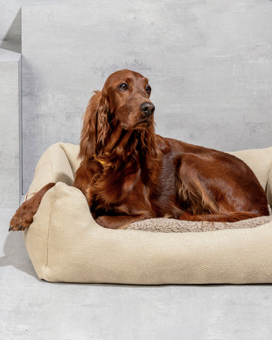 Henri – Panier pour chien en jute