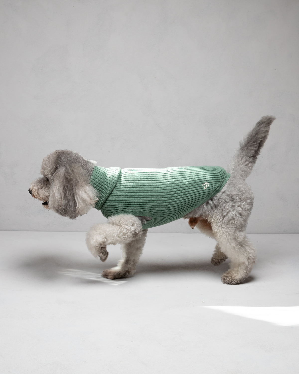Paul – Merino Wool Dog Sweater