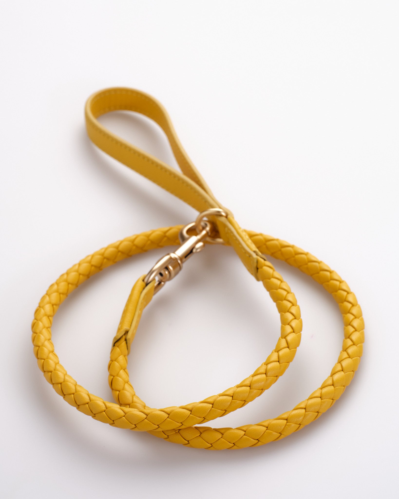 Ferdinando - Braided Leather Leash