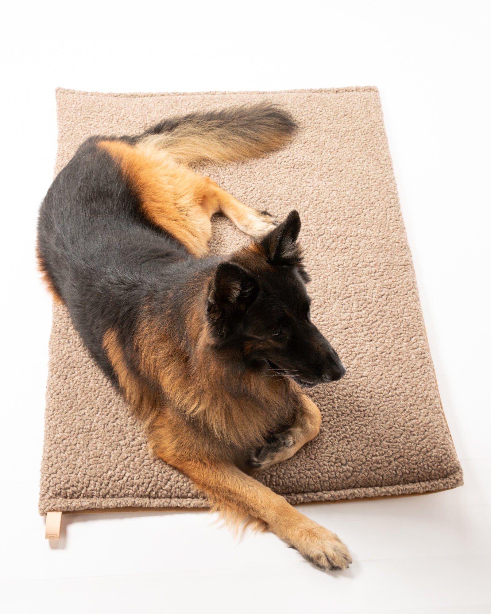 Richard - Coussin Thin Dog en laine
