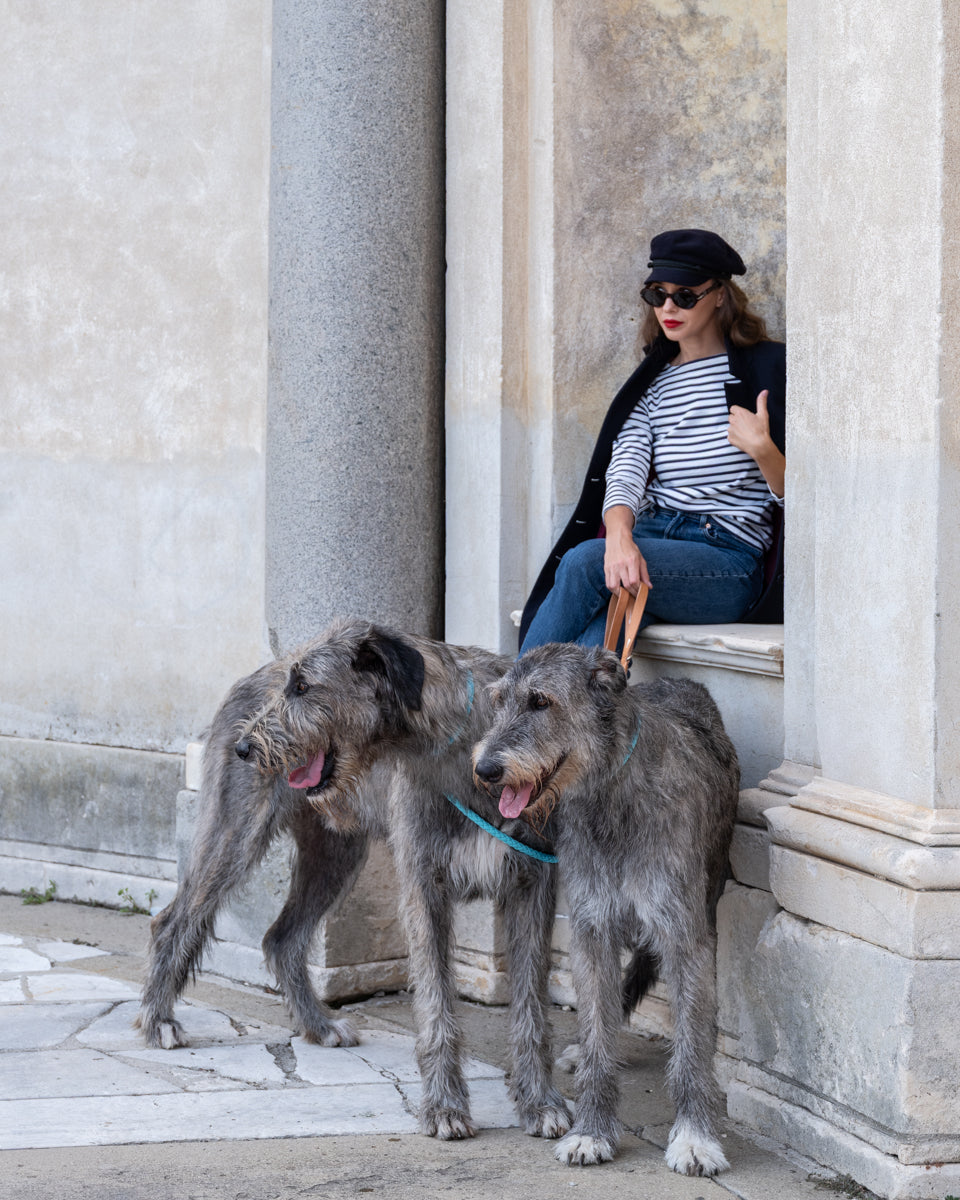 Ferdinando – Laisse pour chien | 2.8 X Riva