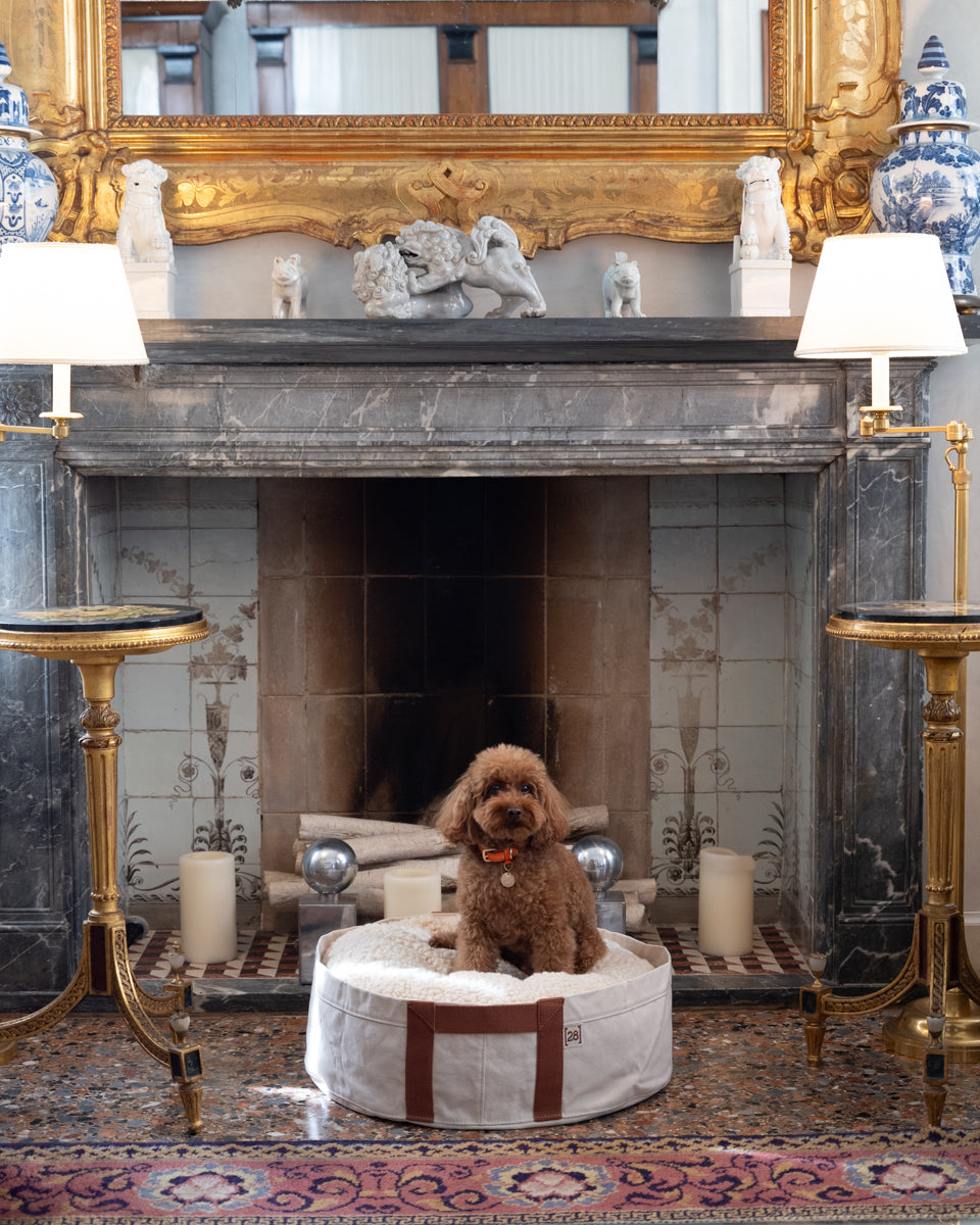 Rodney – Cuscino per cani in canvas strutturato
