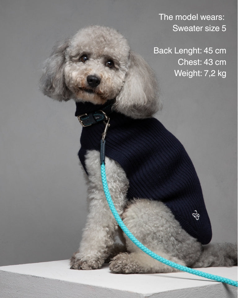 Paul – Maglione per cani in lana merino
