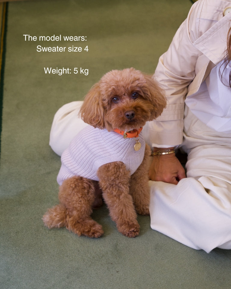 Paul – Maglione per cani in lana merino