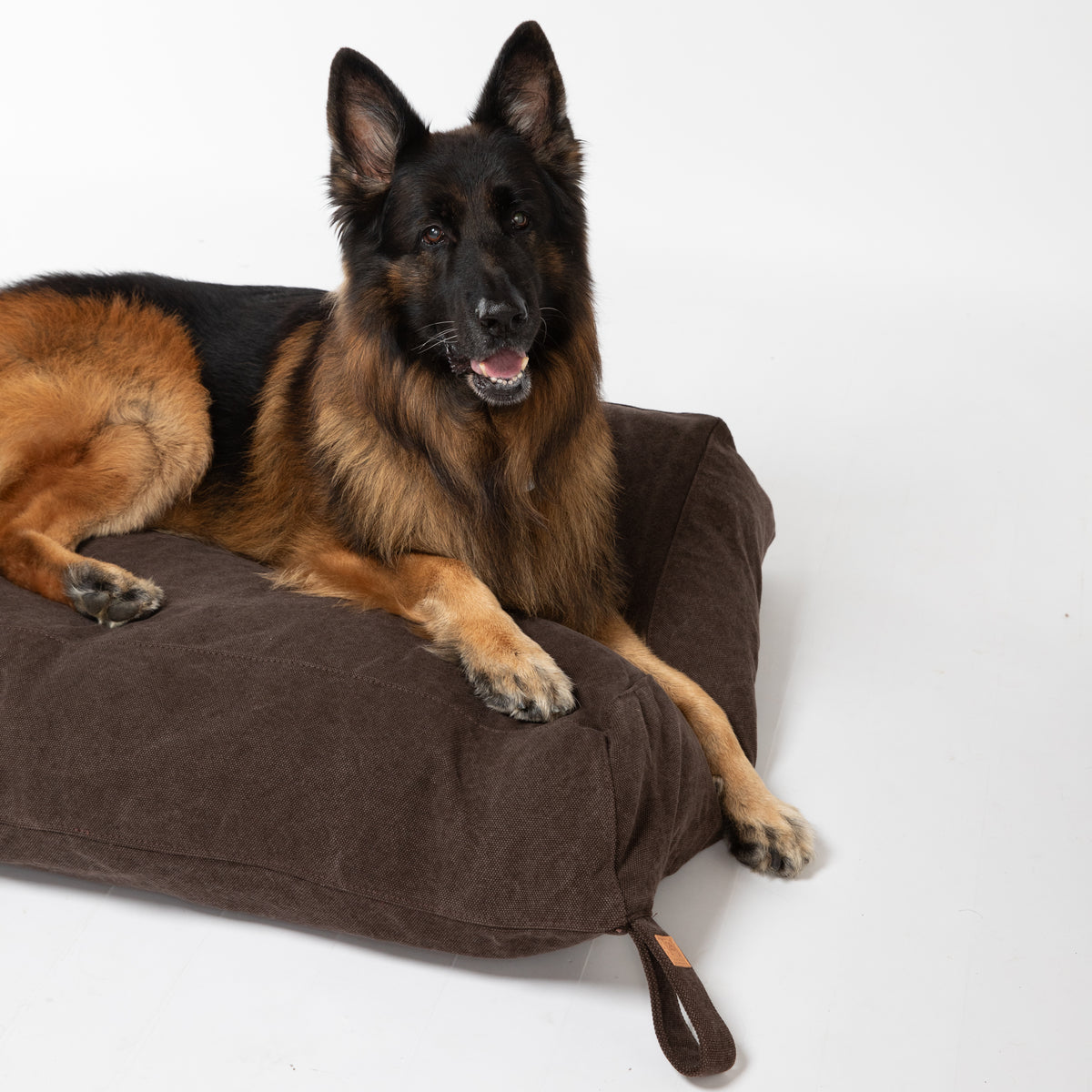 Hundekissen aus Bio-Baumwolle — Yousuf | Nachhaltiges Hundekissen |  Waschbarer Bezug | Handmade in Italy