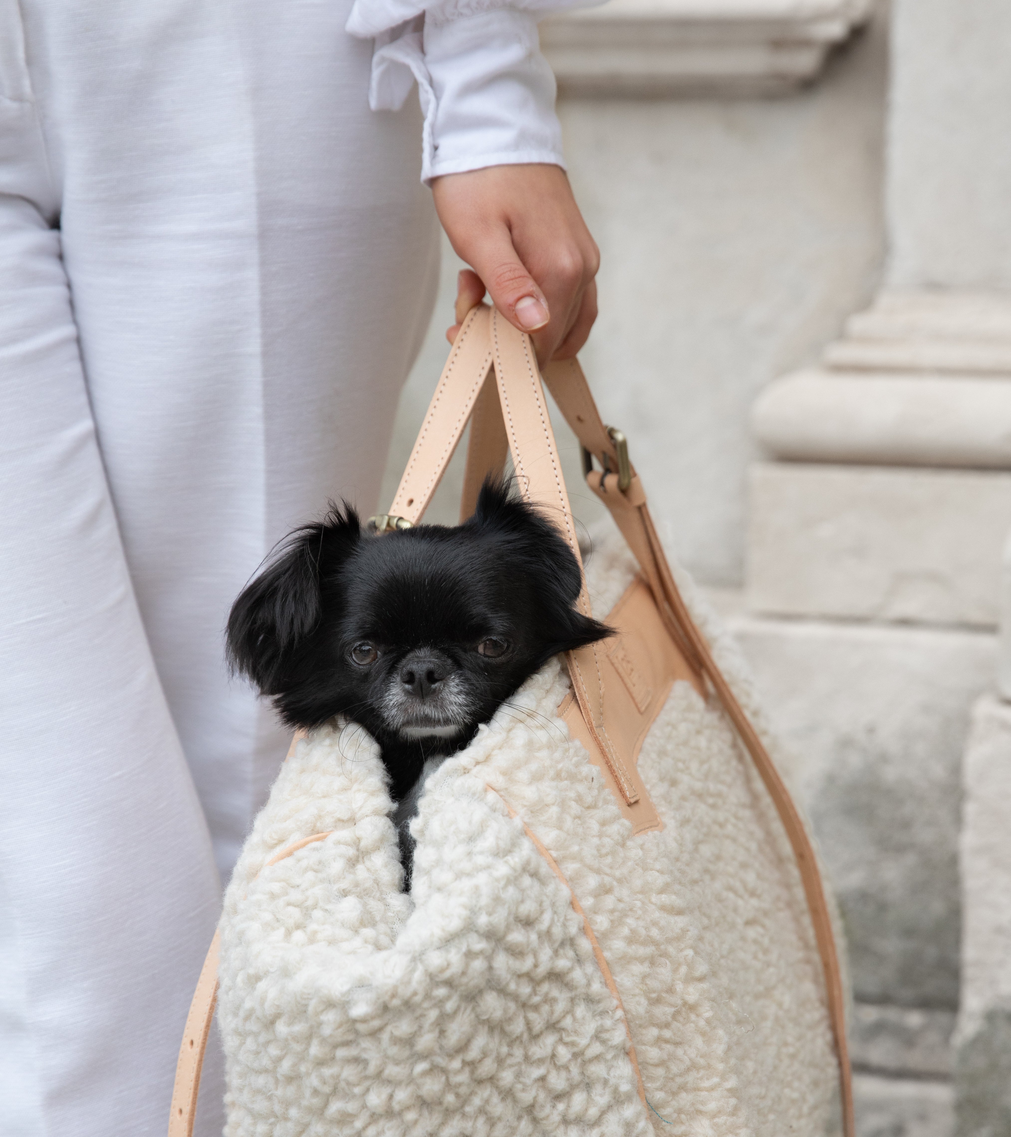 Designer Dog Carriers | Luxury Pet Carriers | The Best Dog Carry Bags –  Aurora Pets - Designer apparel and luxury accessories for dogs
