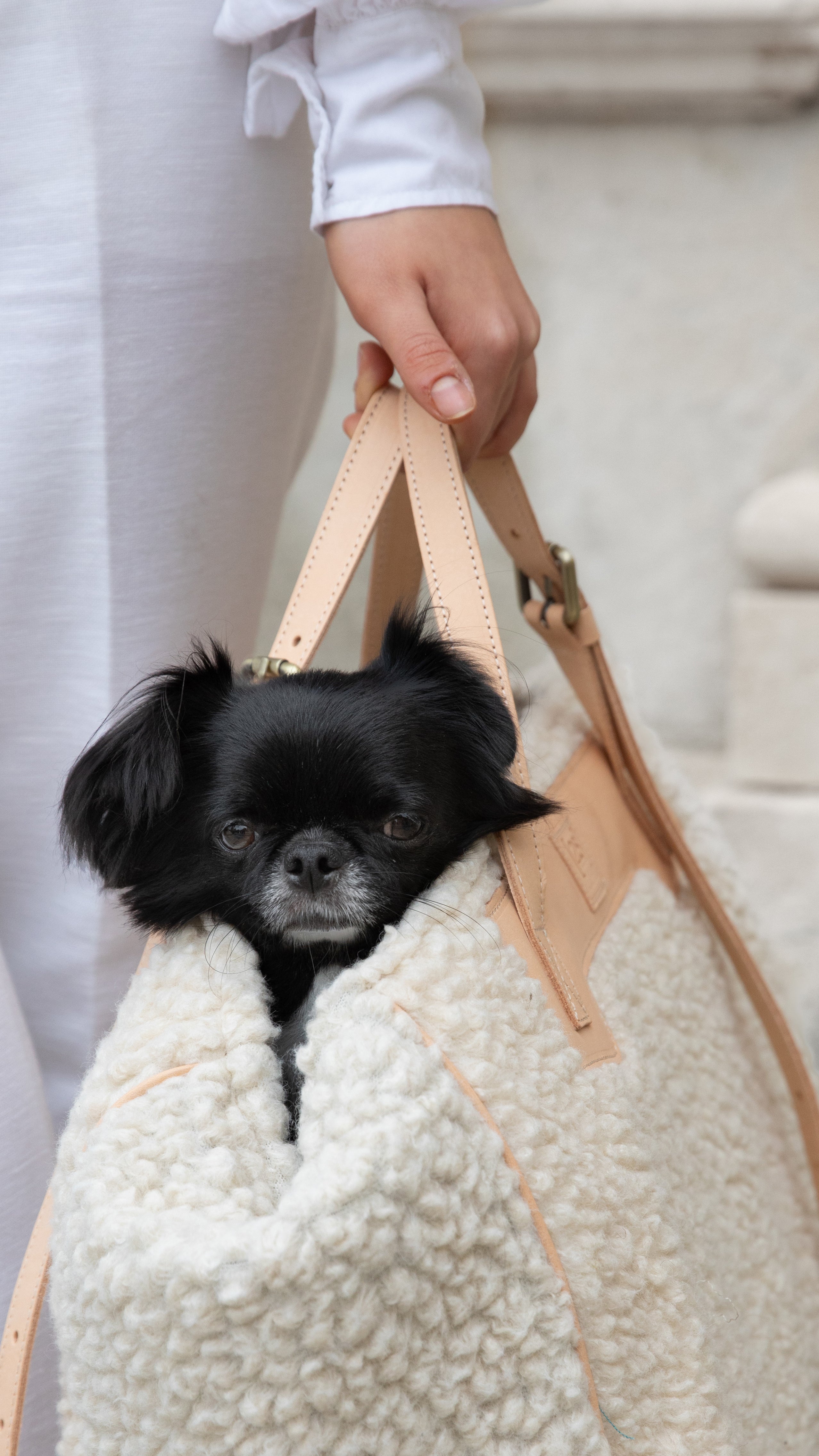 best-dog-bag_c6da675b-a6bb-4f6a-92c4-0cad99590d47.jpg