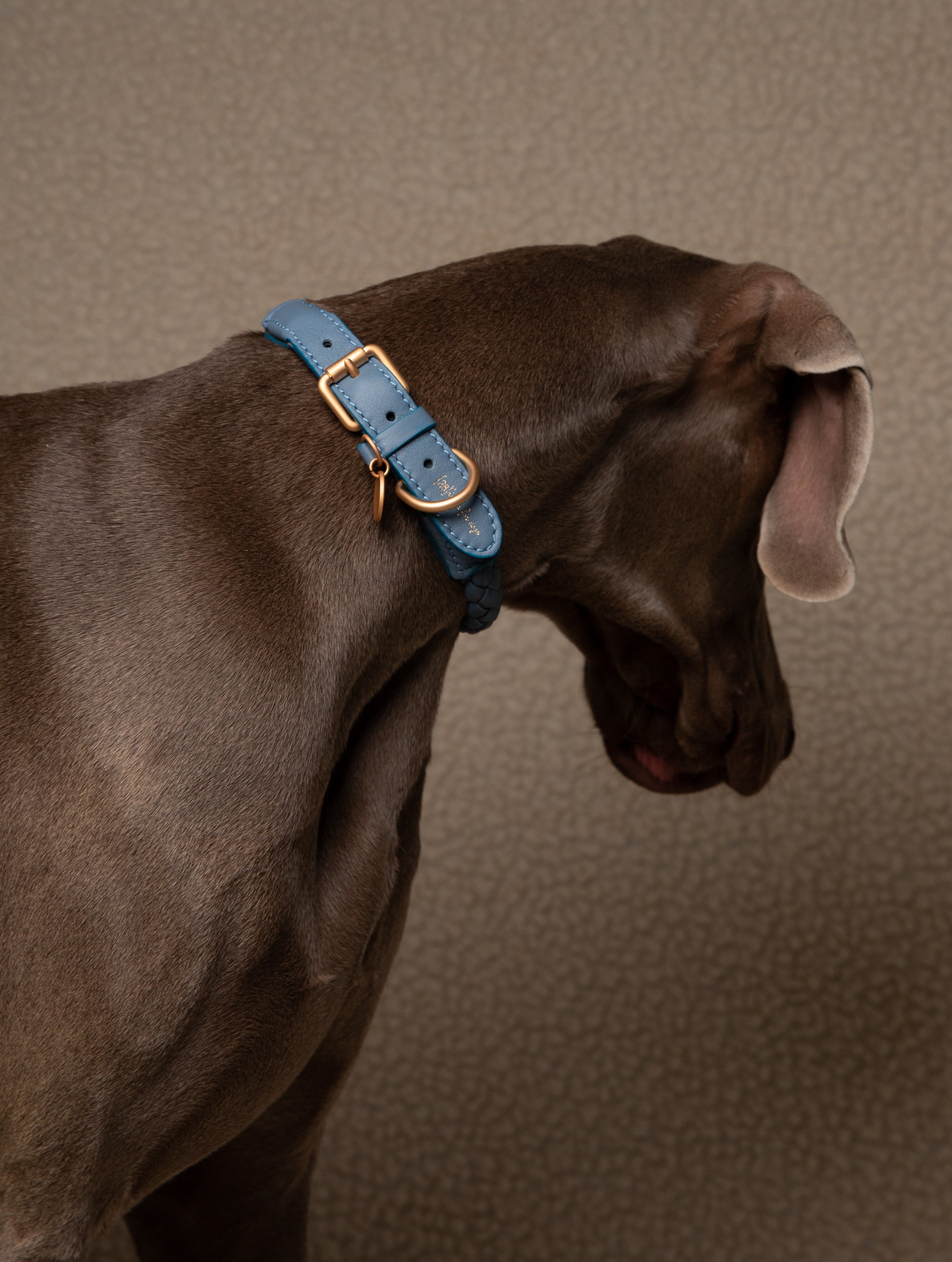 blu-nappa-dog-collar.jpg