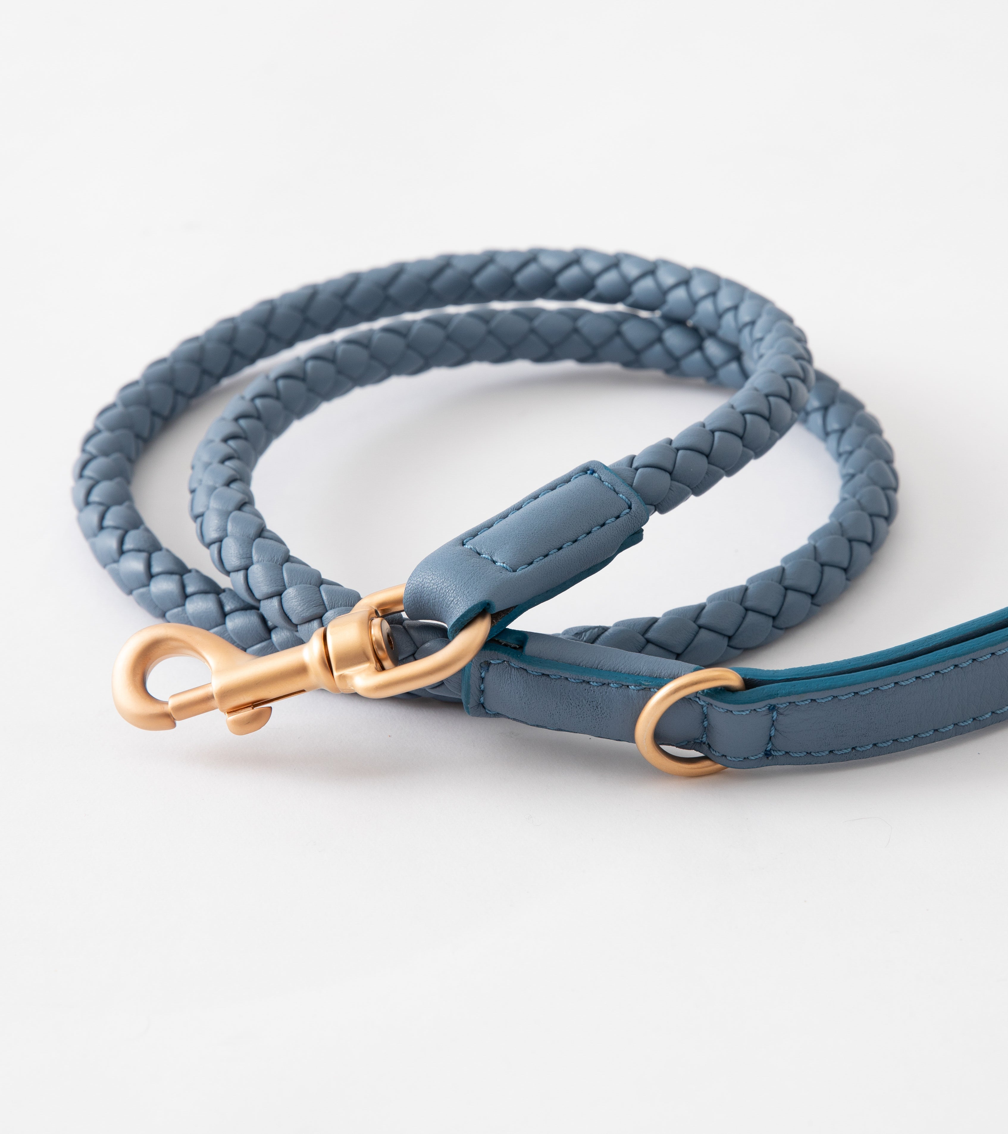 blue-dog-leash.jpg