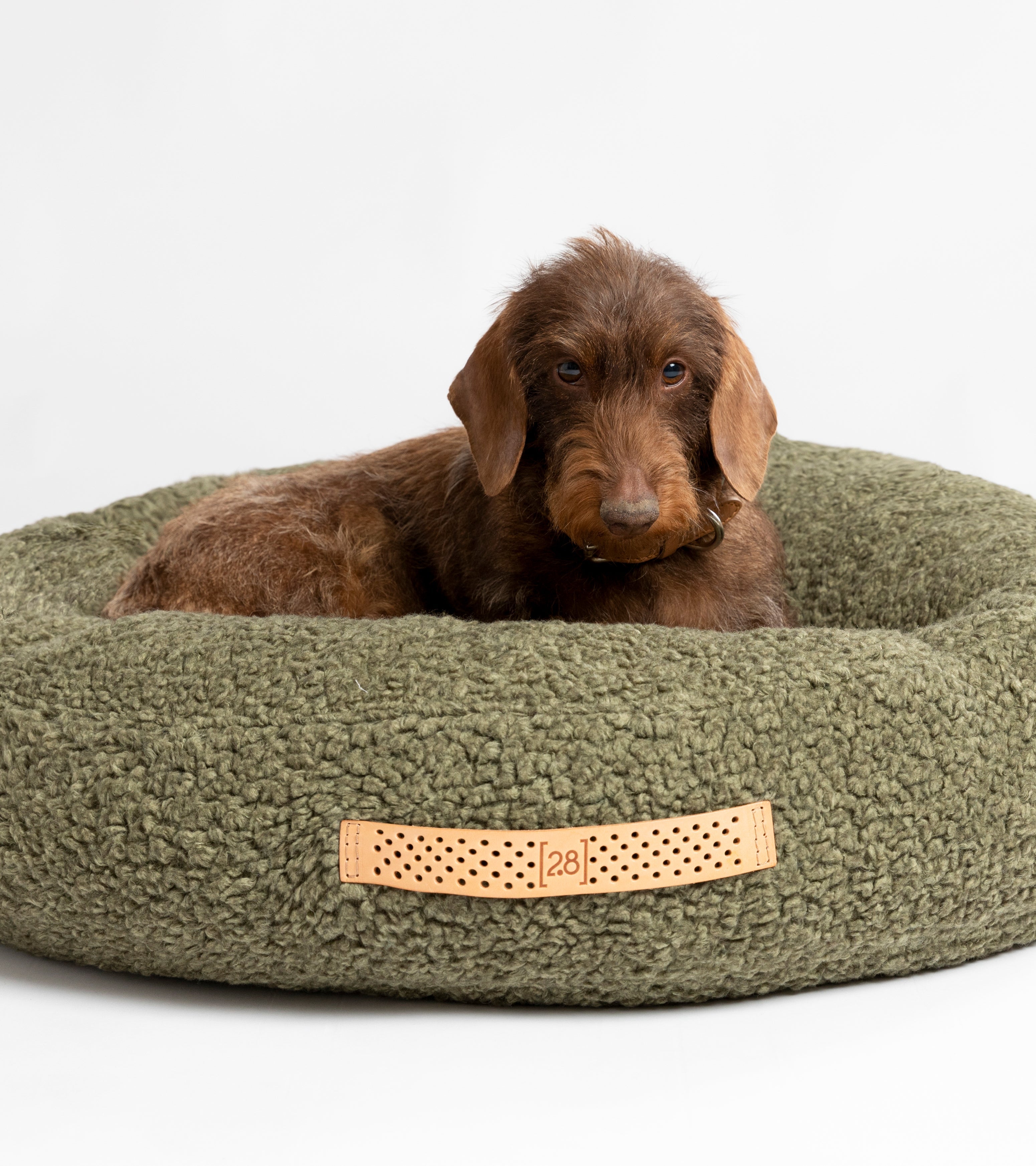 boucle-wool-dog-cuschio-12_0ee8821b-e535-4c8e-be41-04e979210a4f.jpg