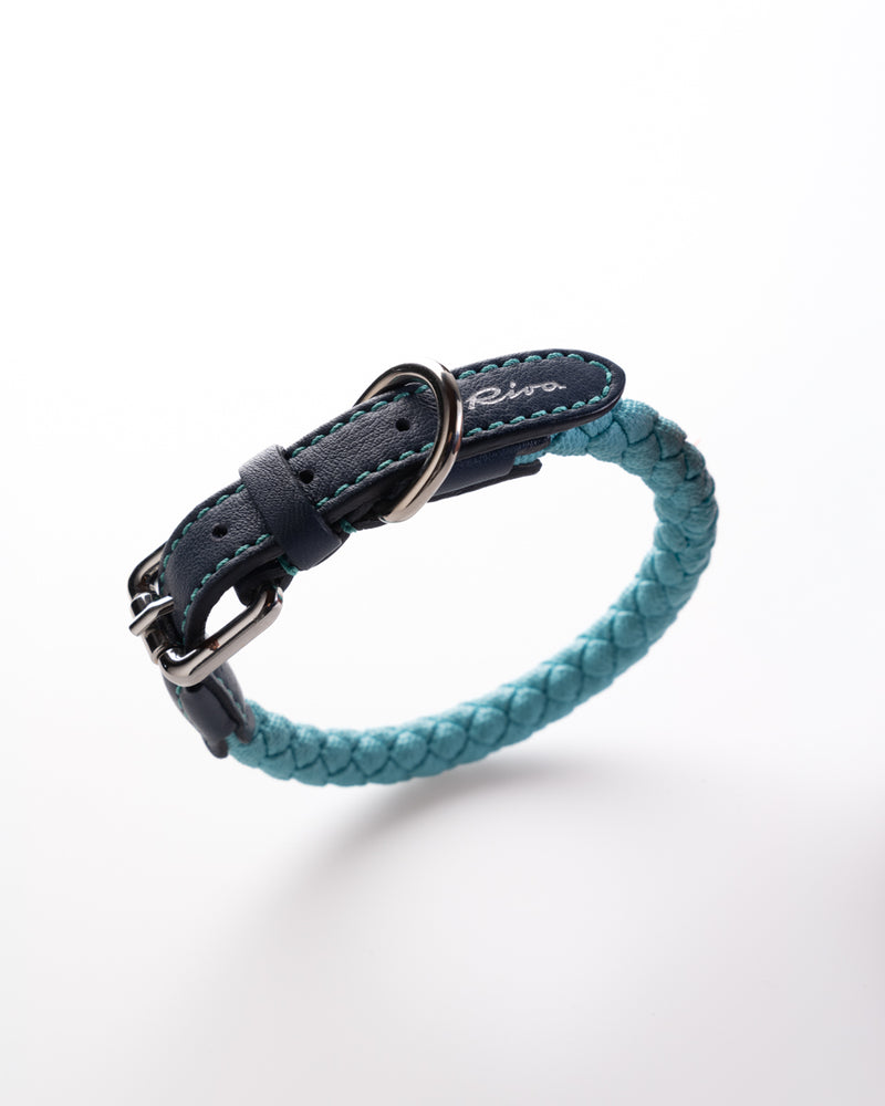 Ferdinando Halsband