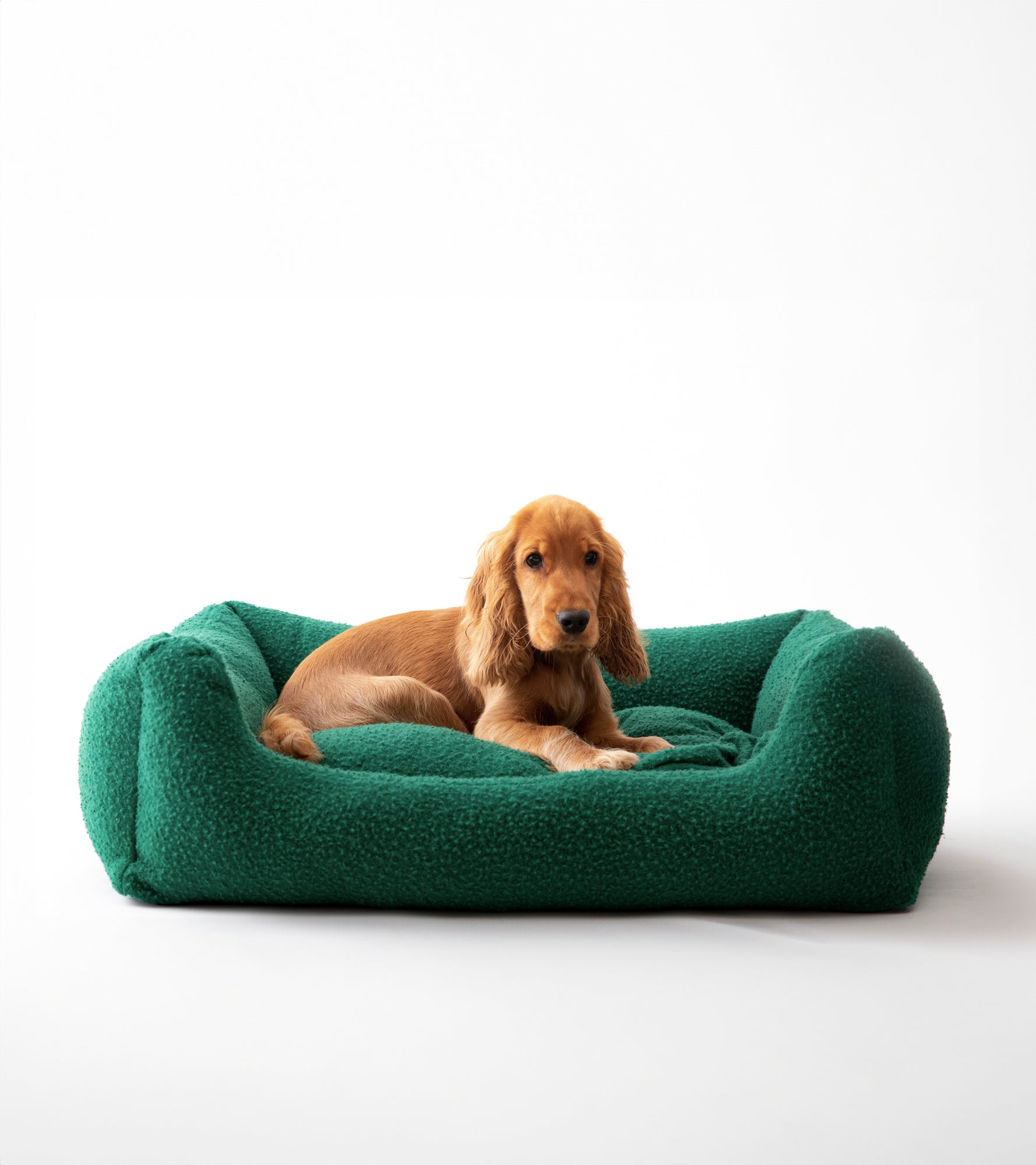cozy-green-casentino-wool-dog-bed.jpg
