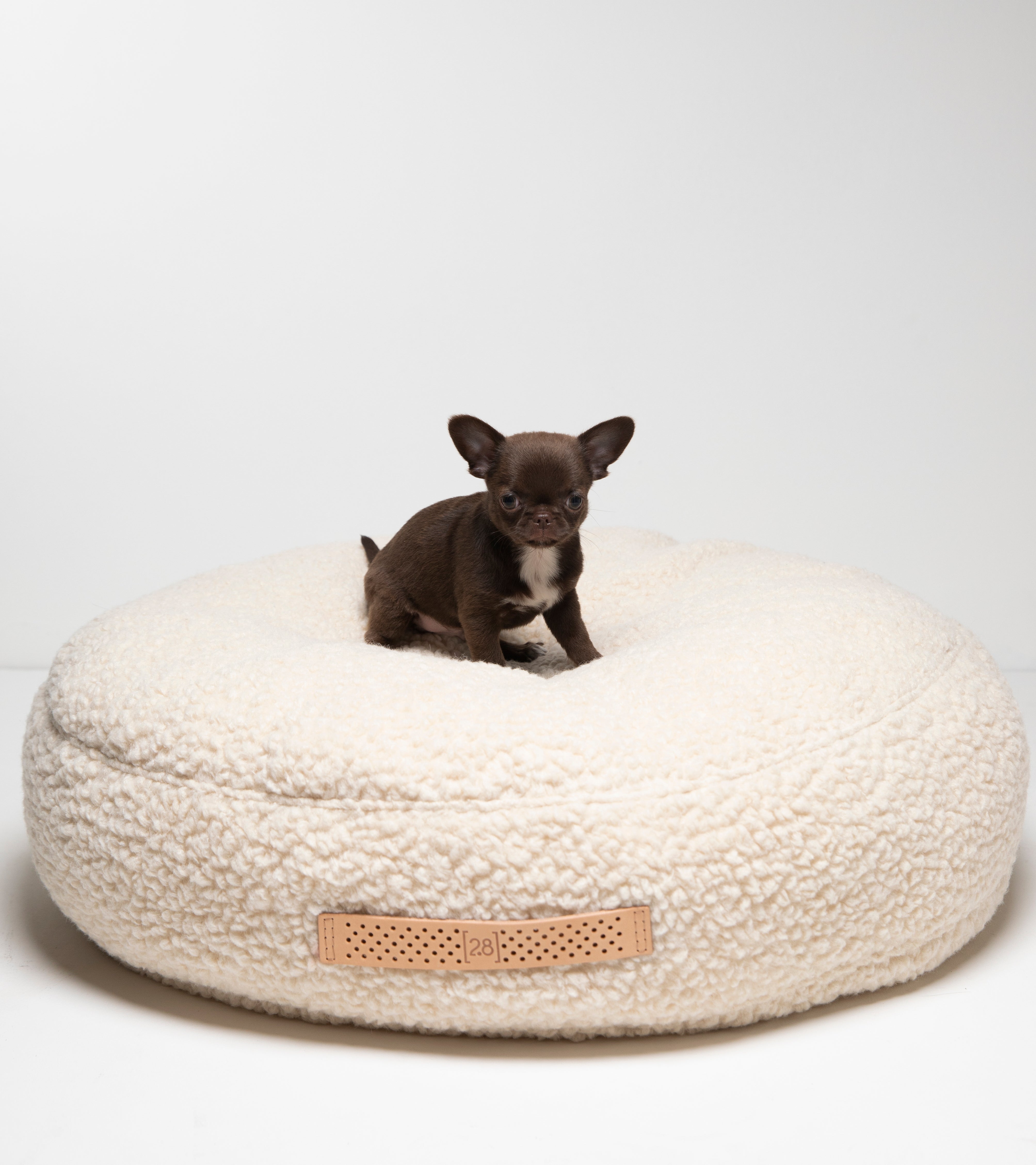 cream-boucle-wool-dog-cuschio-16_8d8cc94c-15db-4398-a81c-76fd080cba17.jpg