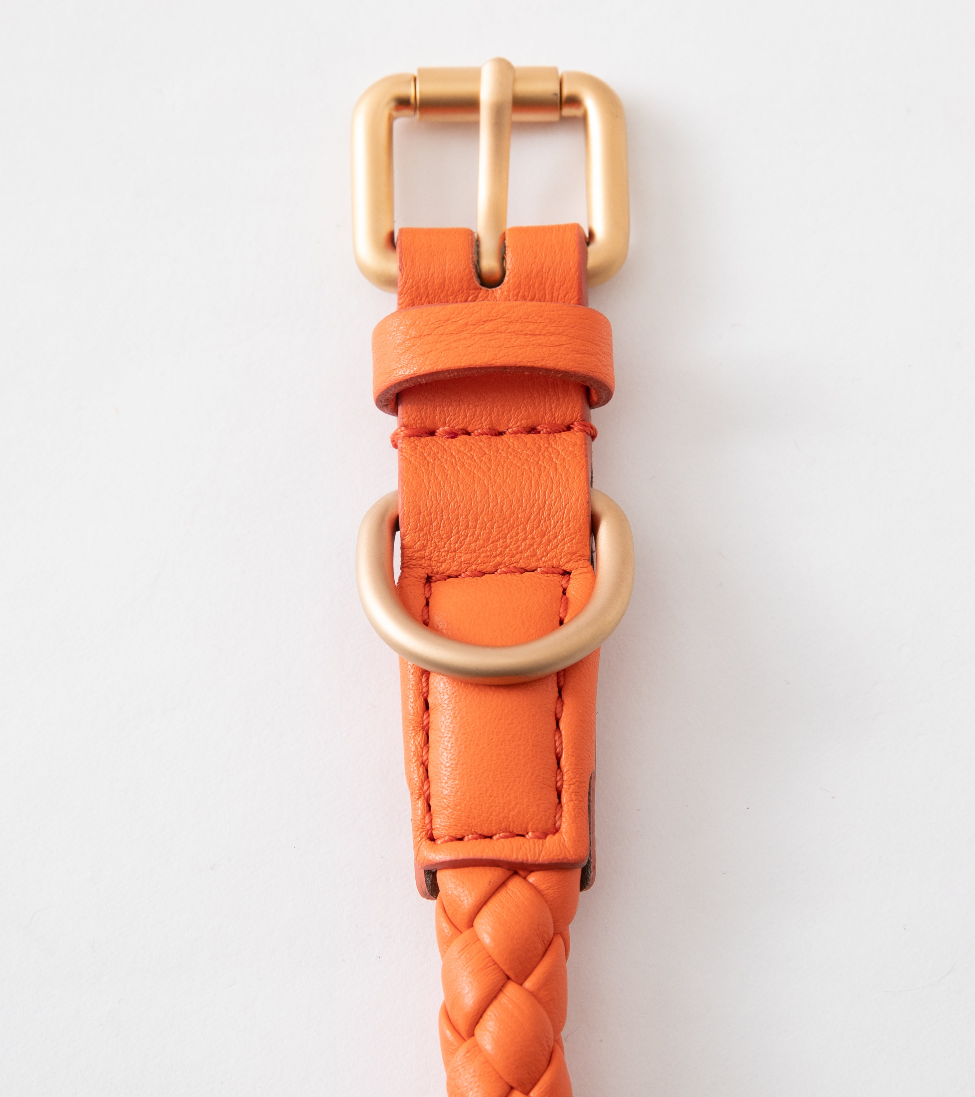 detail-orange-dog-collar.jpg