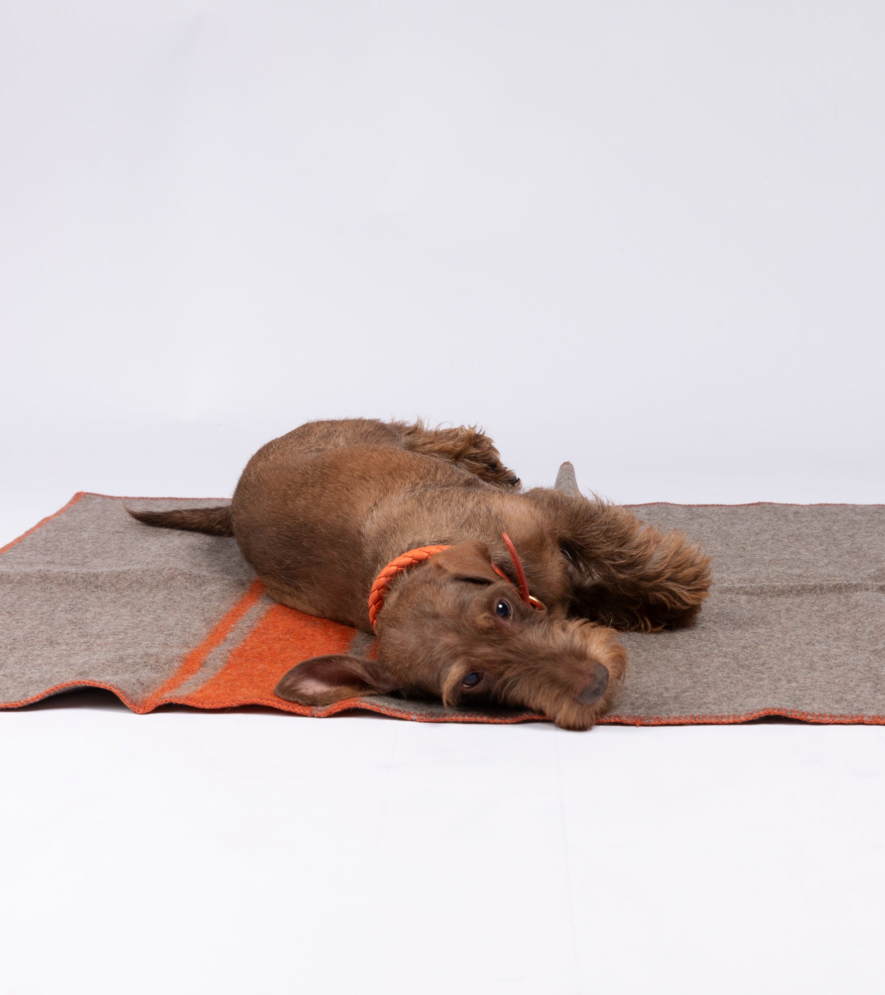 dog-blanket-recycled-wool.jpg