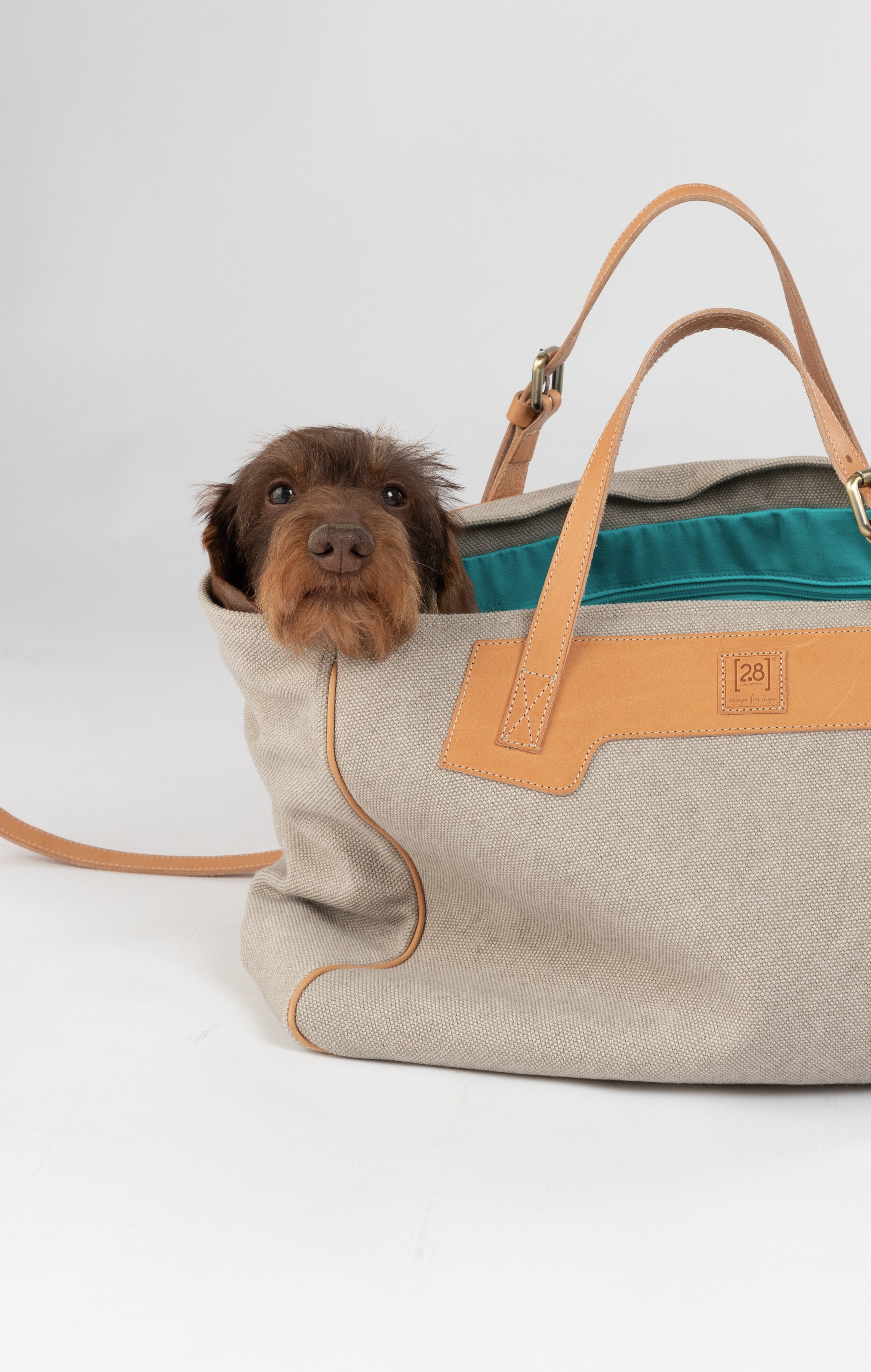 dog-elegant-bag.jpg