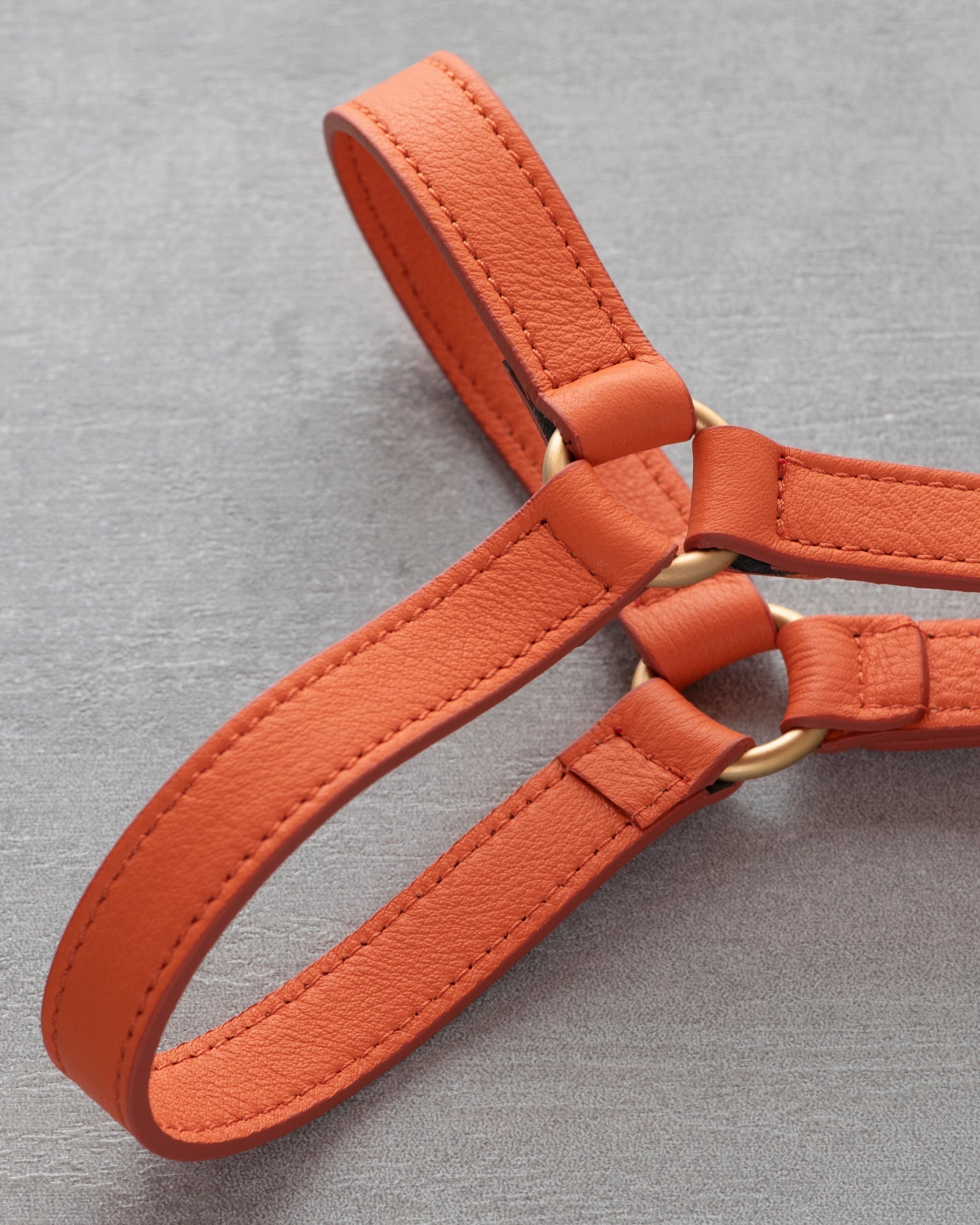 Mario – Step-In Hundegeschirr aus Leder