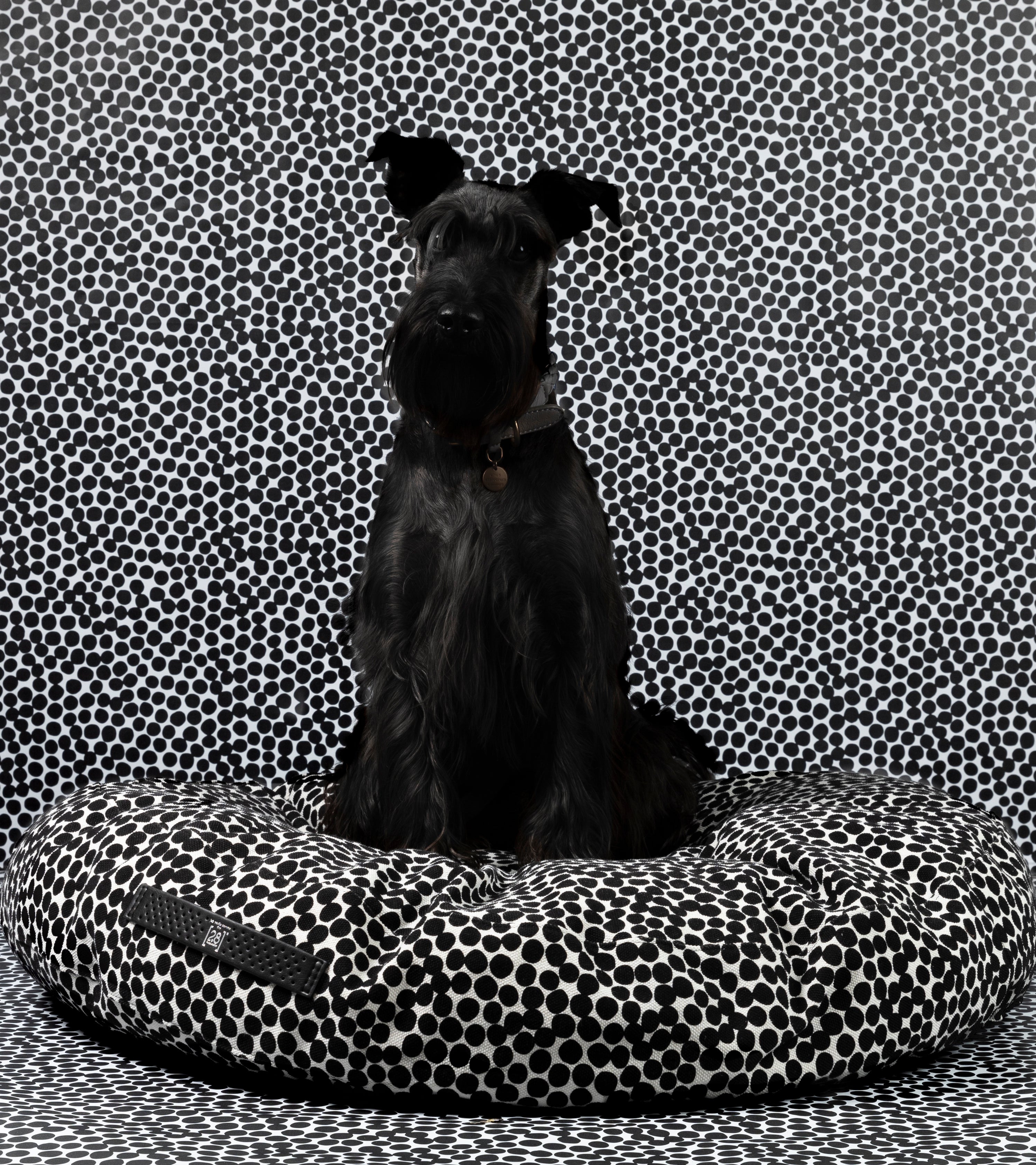 dots-paola-navone-dog-cushion.jpg