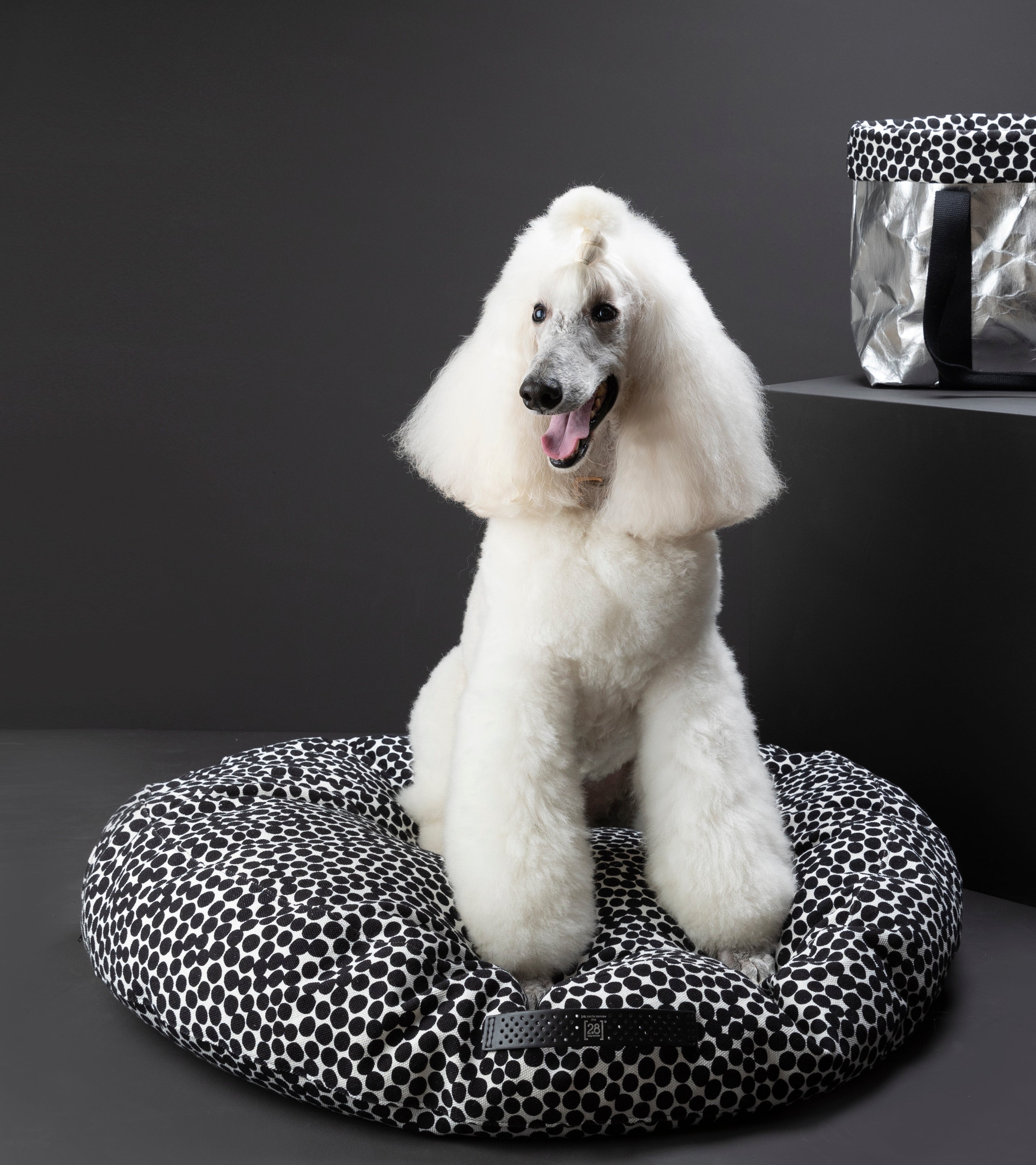 dotto-collection-paola-navone-dog-cushion-2-6.jpg