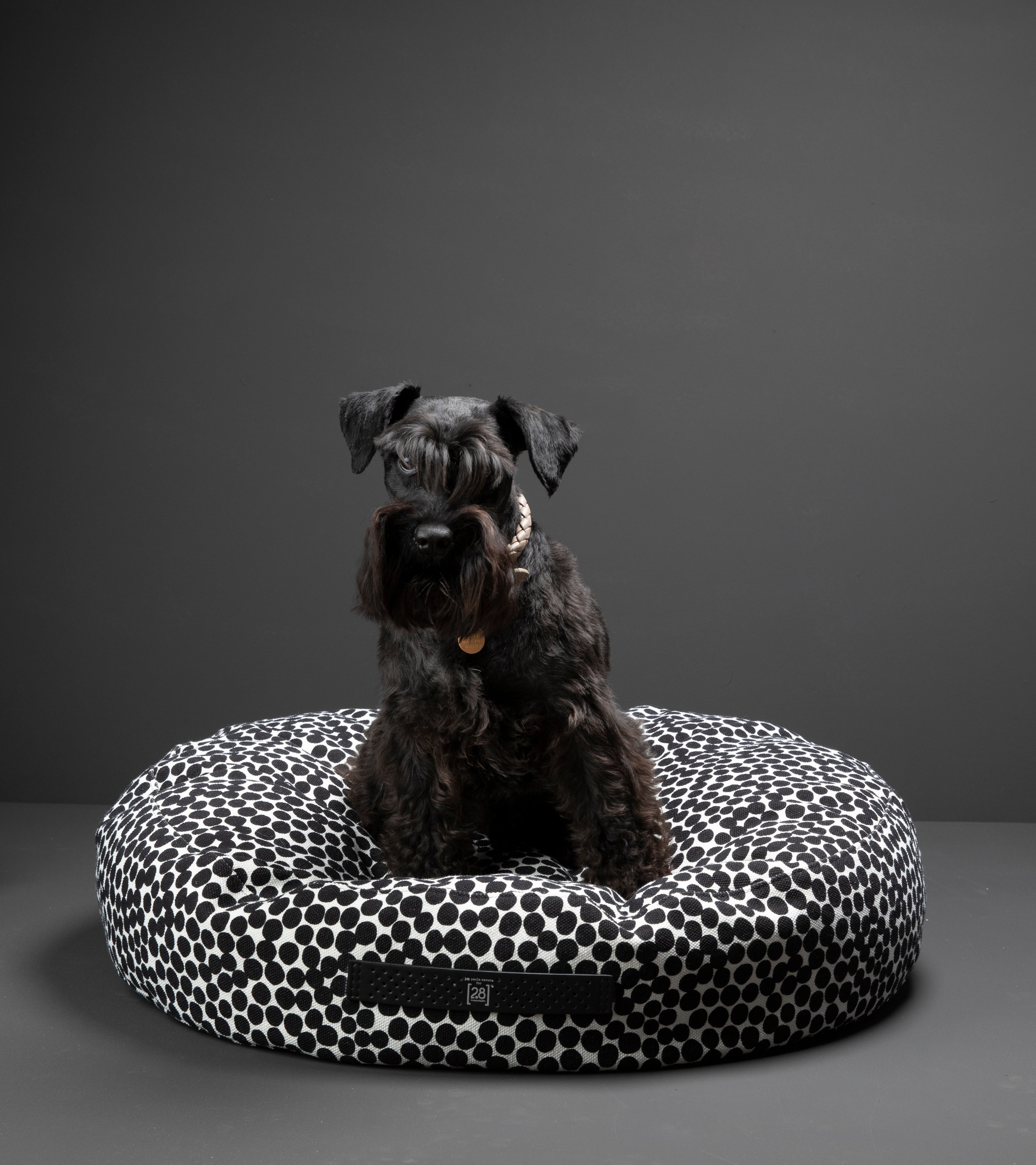dotto-collection-paola-navone-dog-cushion-2.jpg