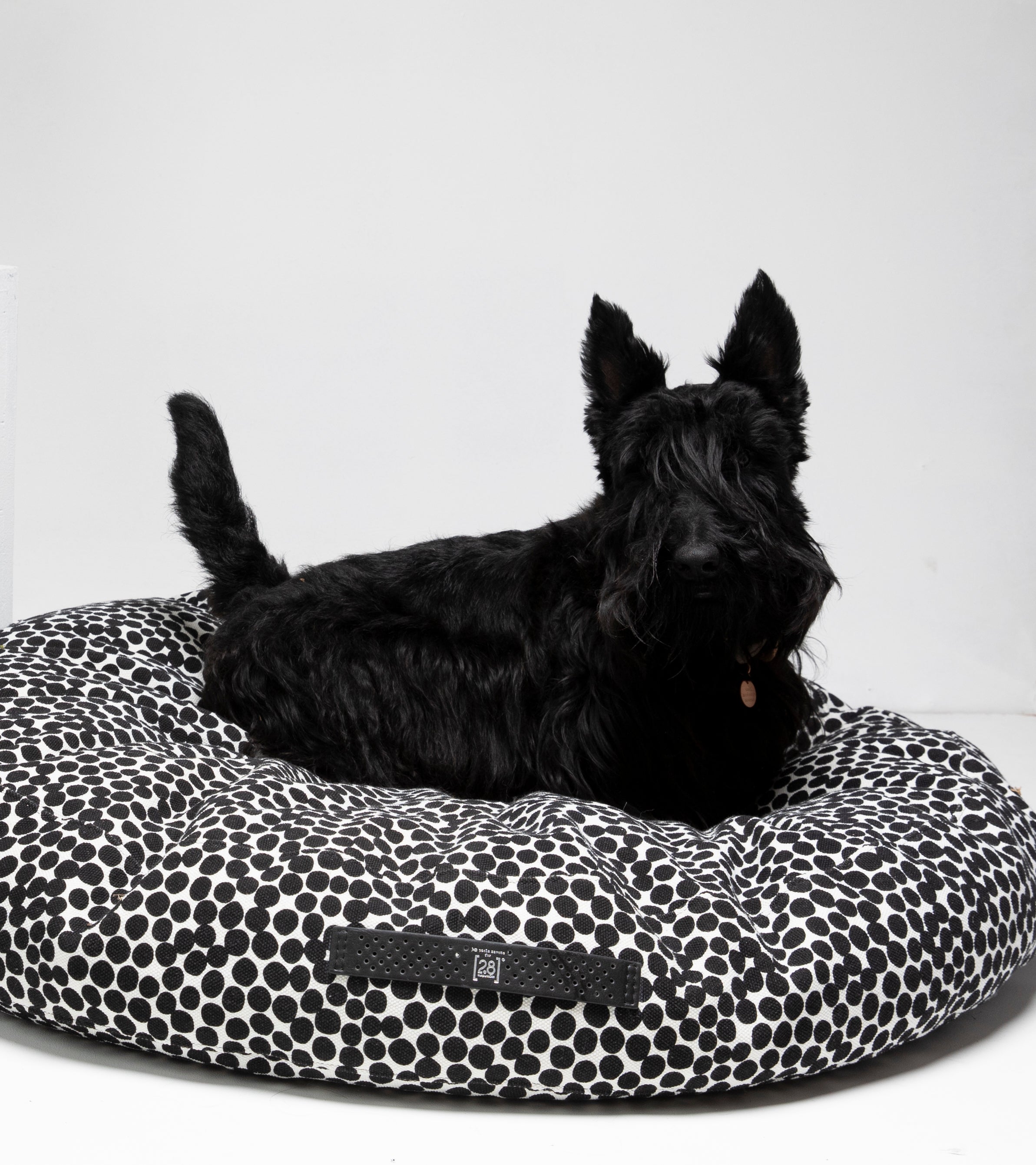 dotto-collection-paola-navone-dog-cushion-3.jpg