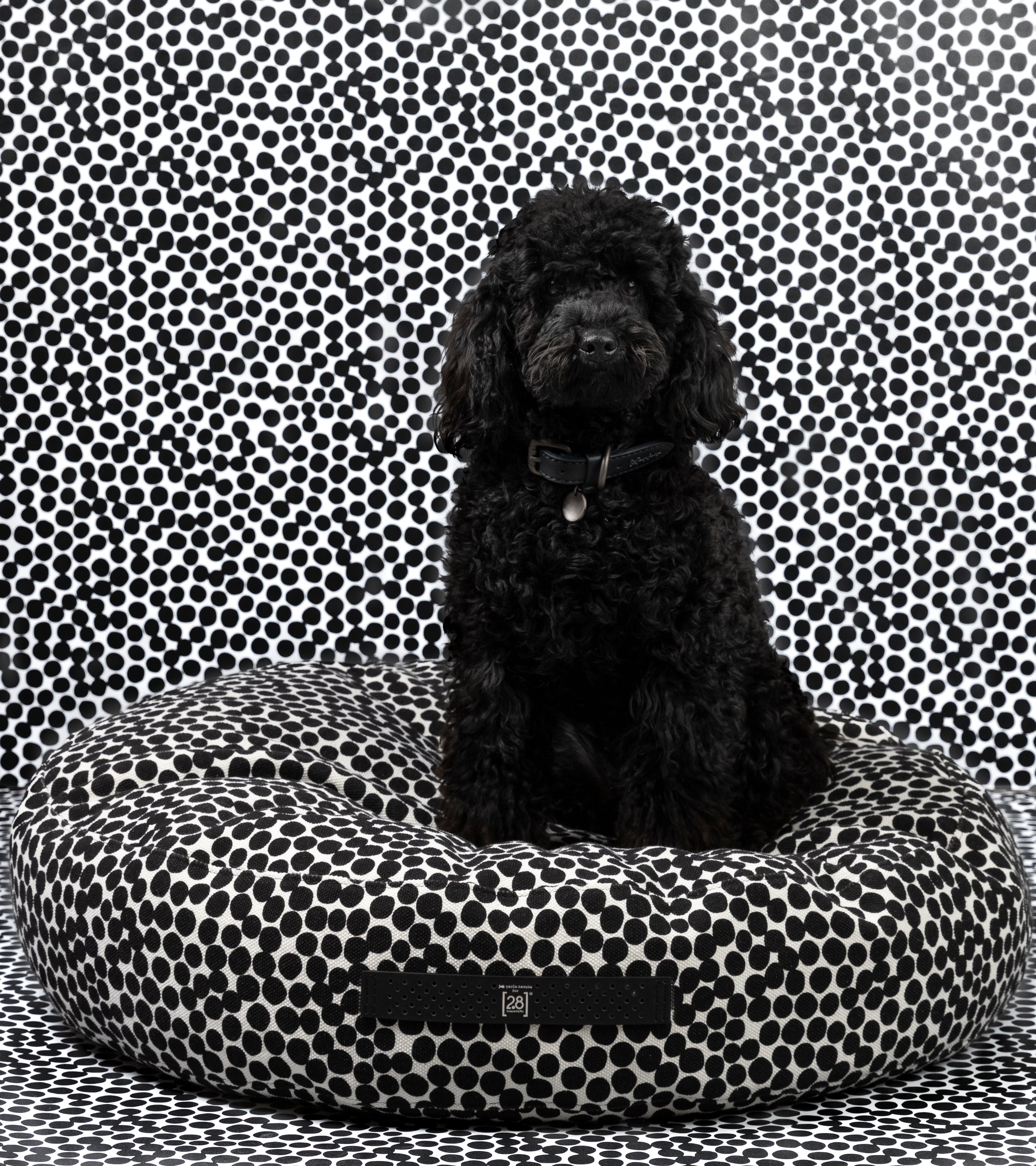 dotto-collection-paola-navone-dog-cushion-5.jpg
