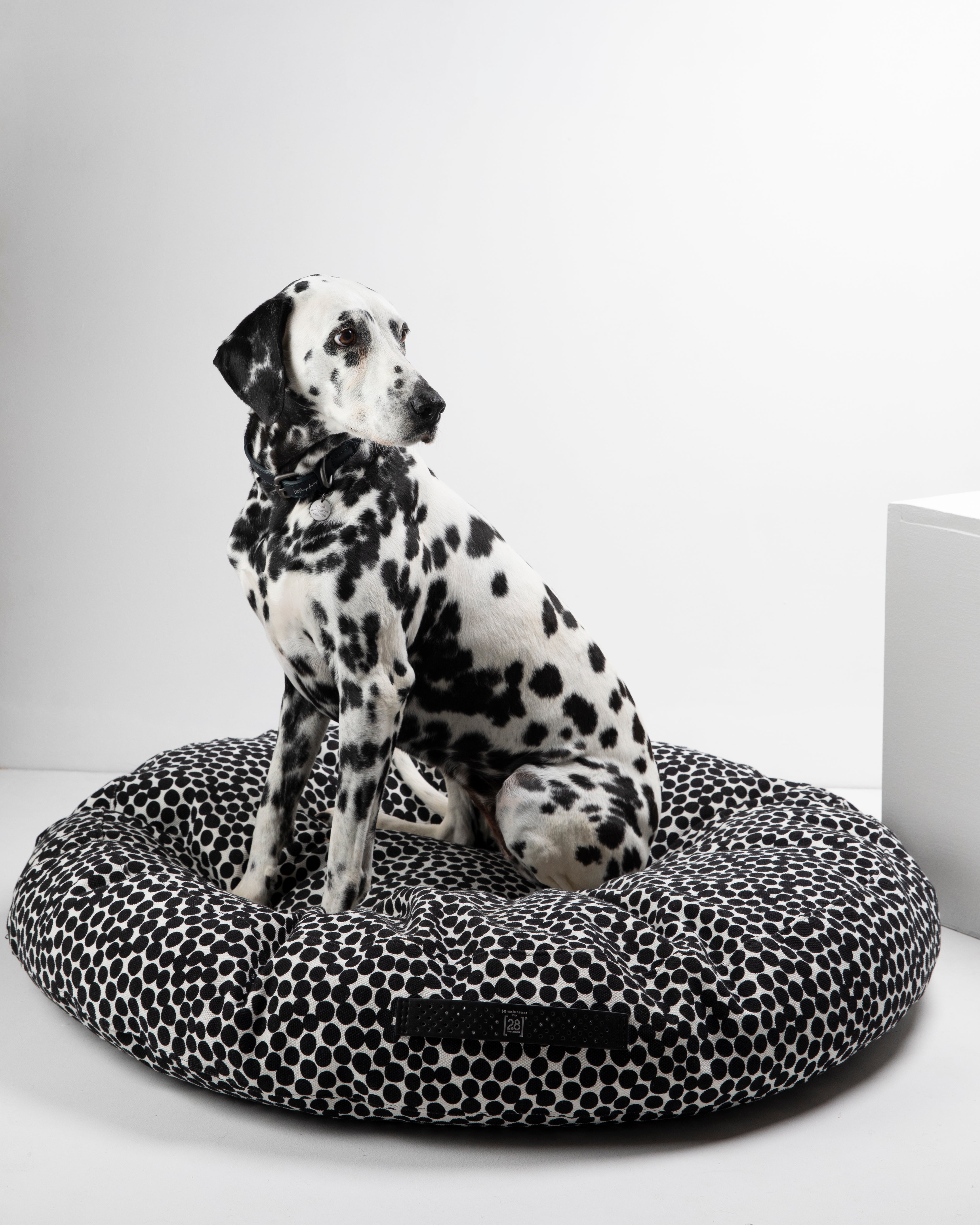 dotto-collection-paola-navone-dog-cushion-6.jpg