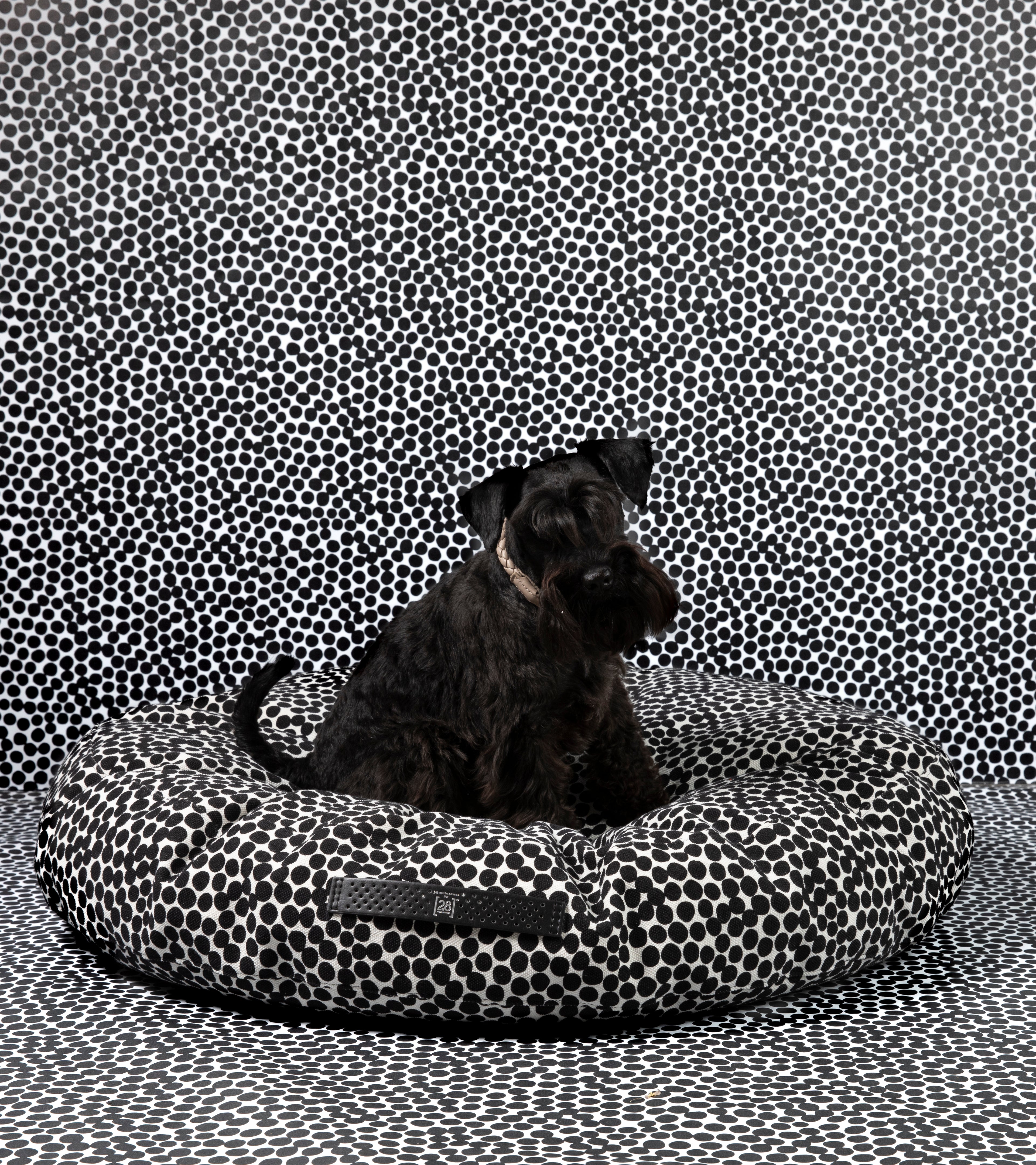dotto-collection-paola-navone-dog-cushion.jpg