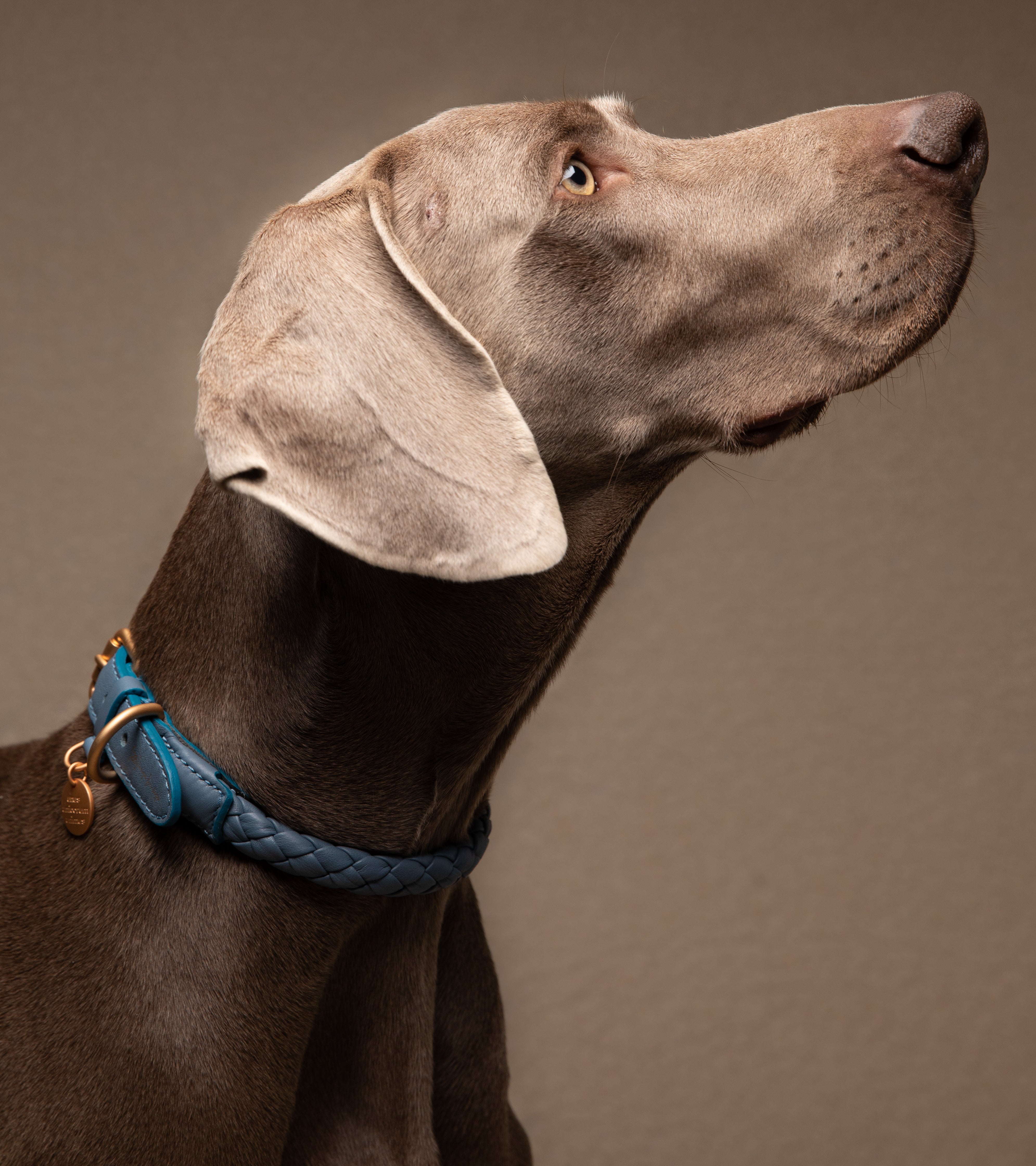 dusty-blu-dog-collar.jpg