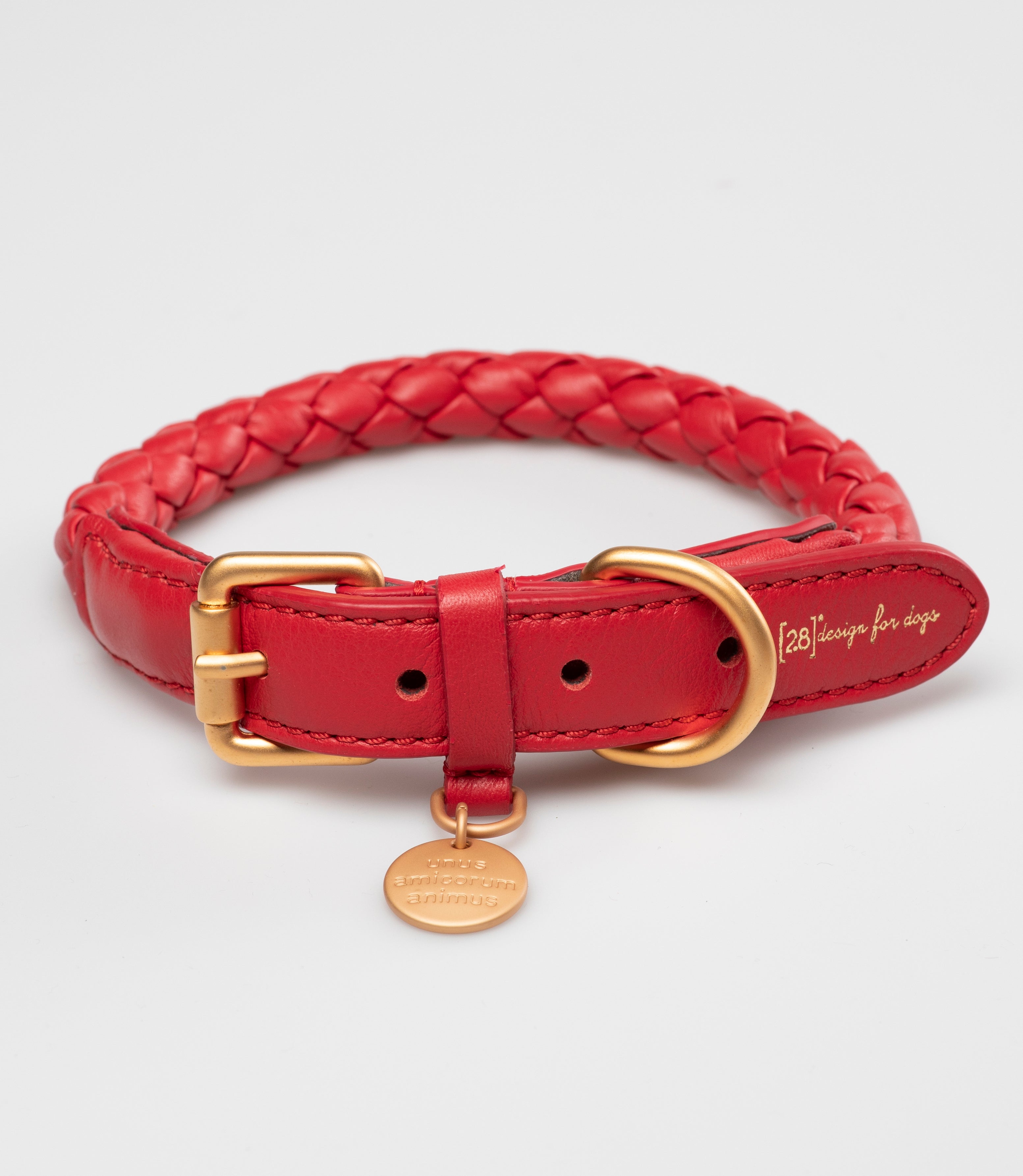 ferdianando-dog-collar-nappa-leather_1_di_1_-5_689dc287-60bc-4b55-b4f7-65309d29ccc0.jpg