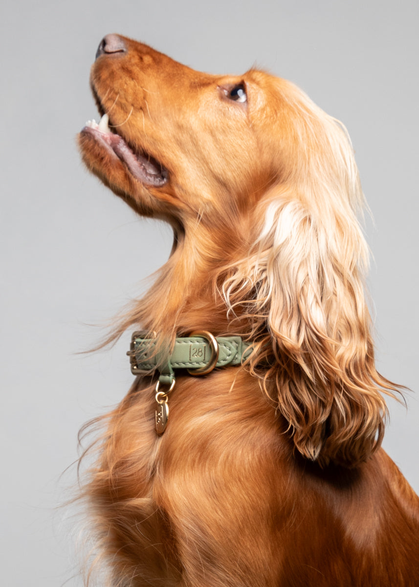 Ferdinando - Braided Leather Collar