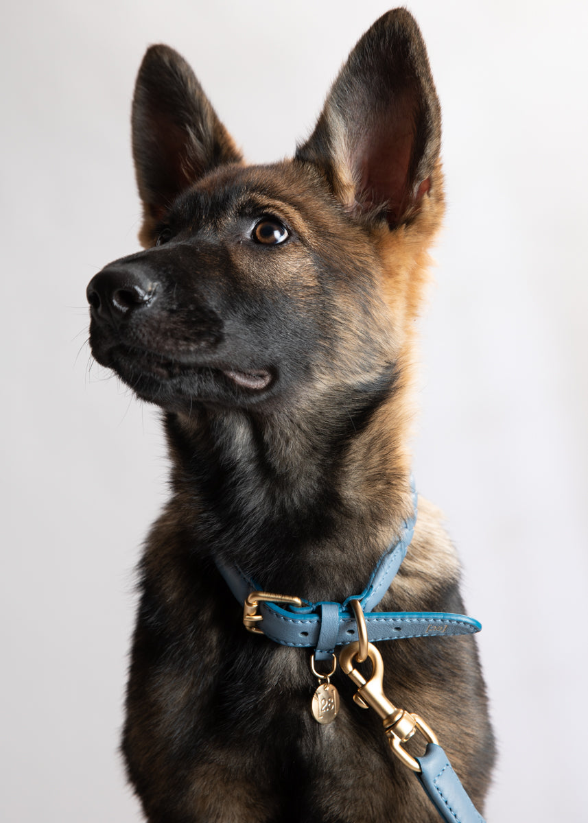 Ferdinando - Braided Leather Collar