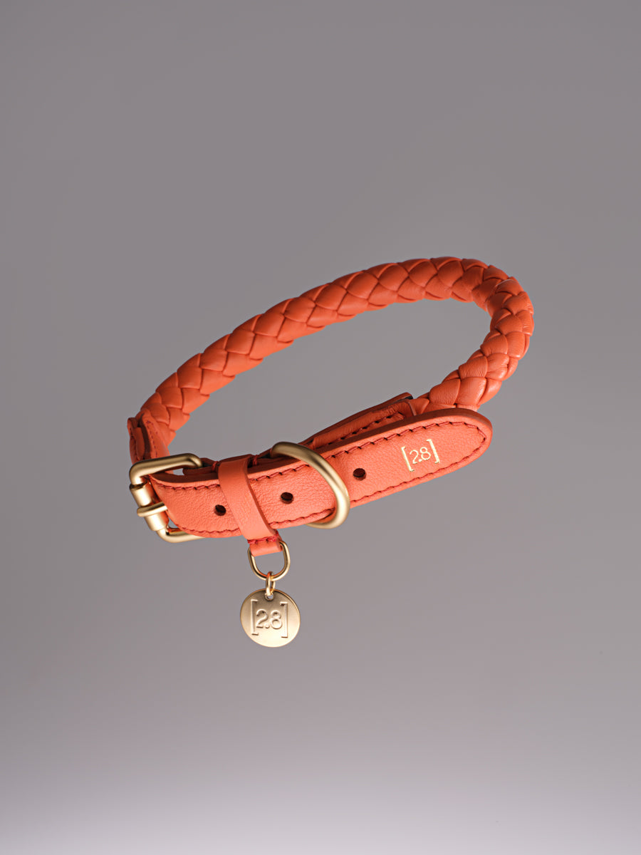 Ferdinando - Braided Leather Collar