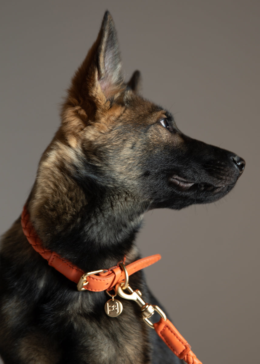 Ferdinando - Braided Leather Collar