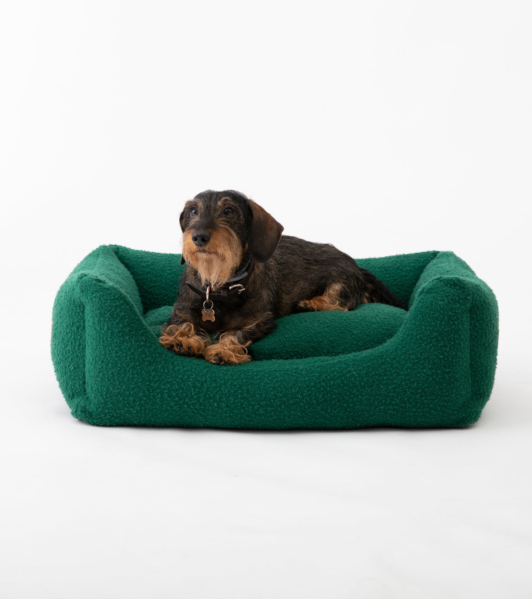 green-casentono-dogbed.jpg