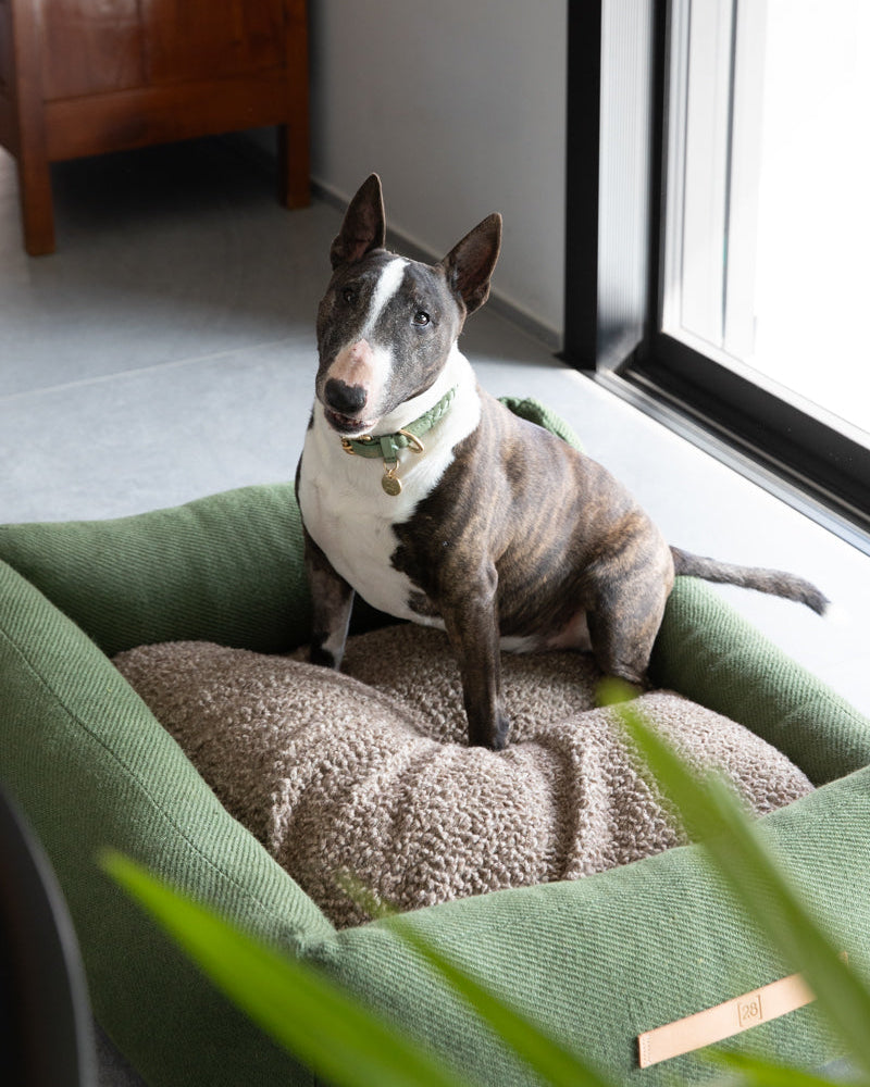 Henri - Jute Dog Bed