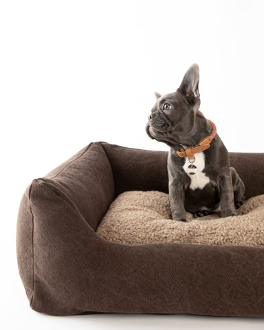 Henri - Lit en coton biologique pour chien