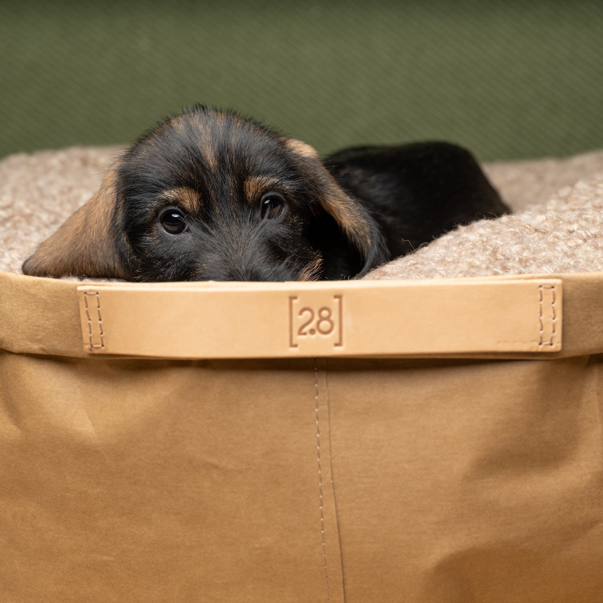 Irving – Cuscino in carta