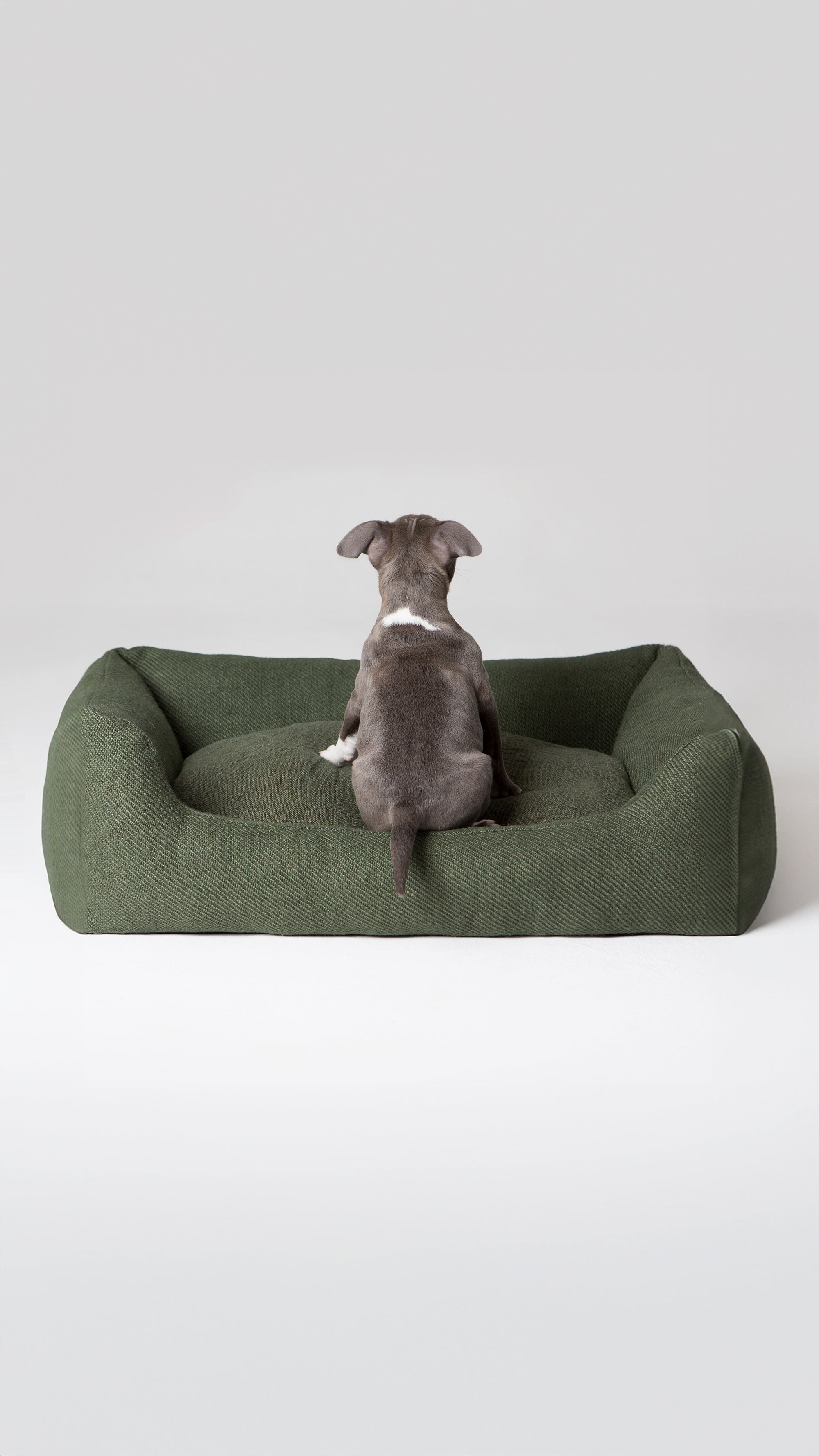 jute-dog-bed-elegant_8d88e903-7238-4a59-ad2b-16305f83c059.jpg