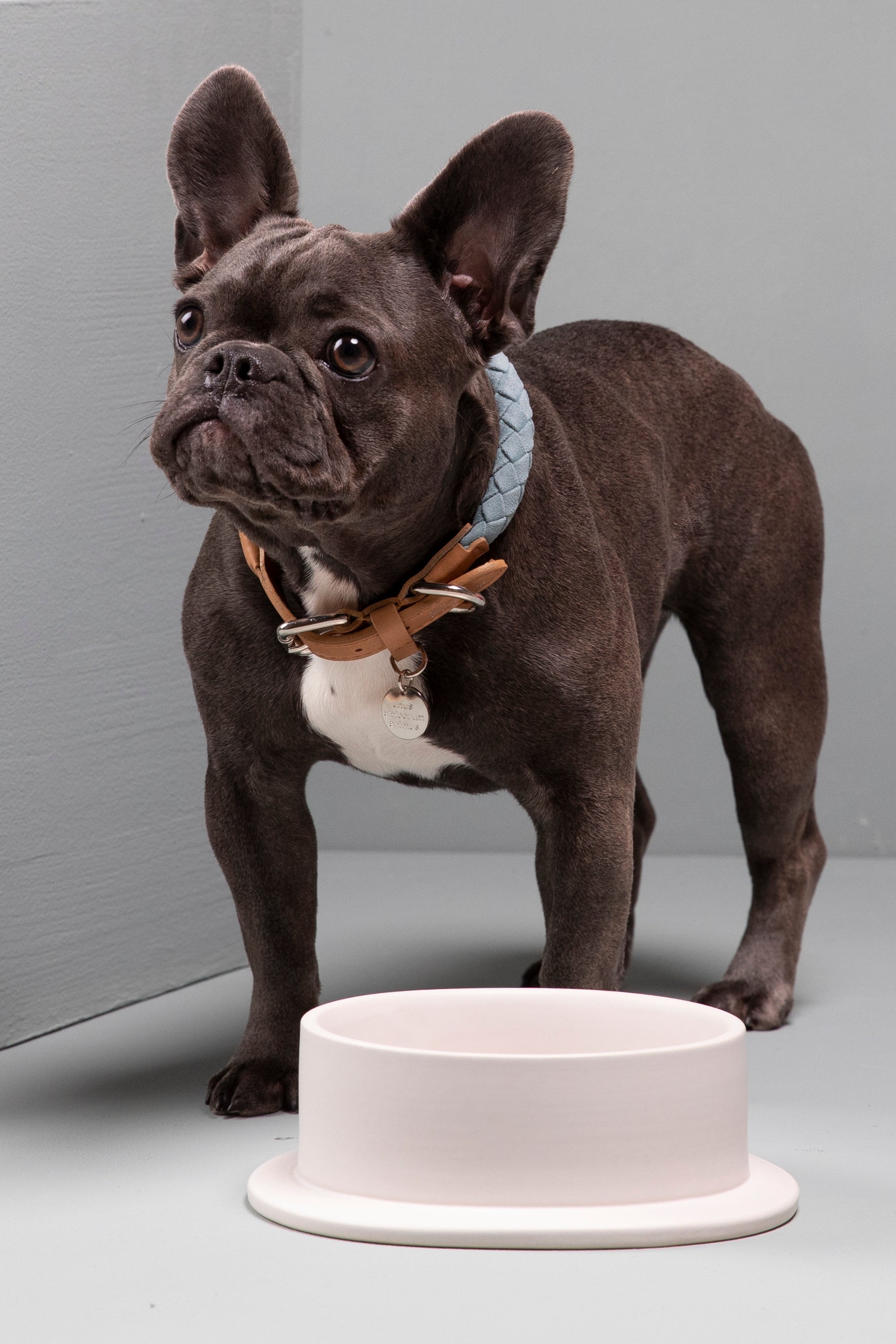 luxury-ceramic-dog-bowl.jpg