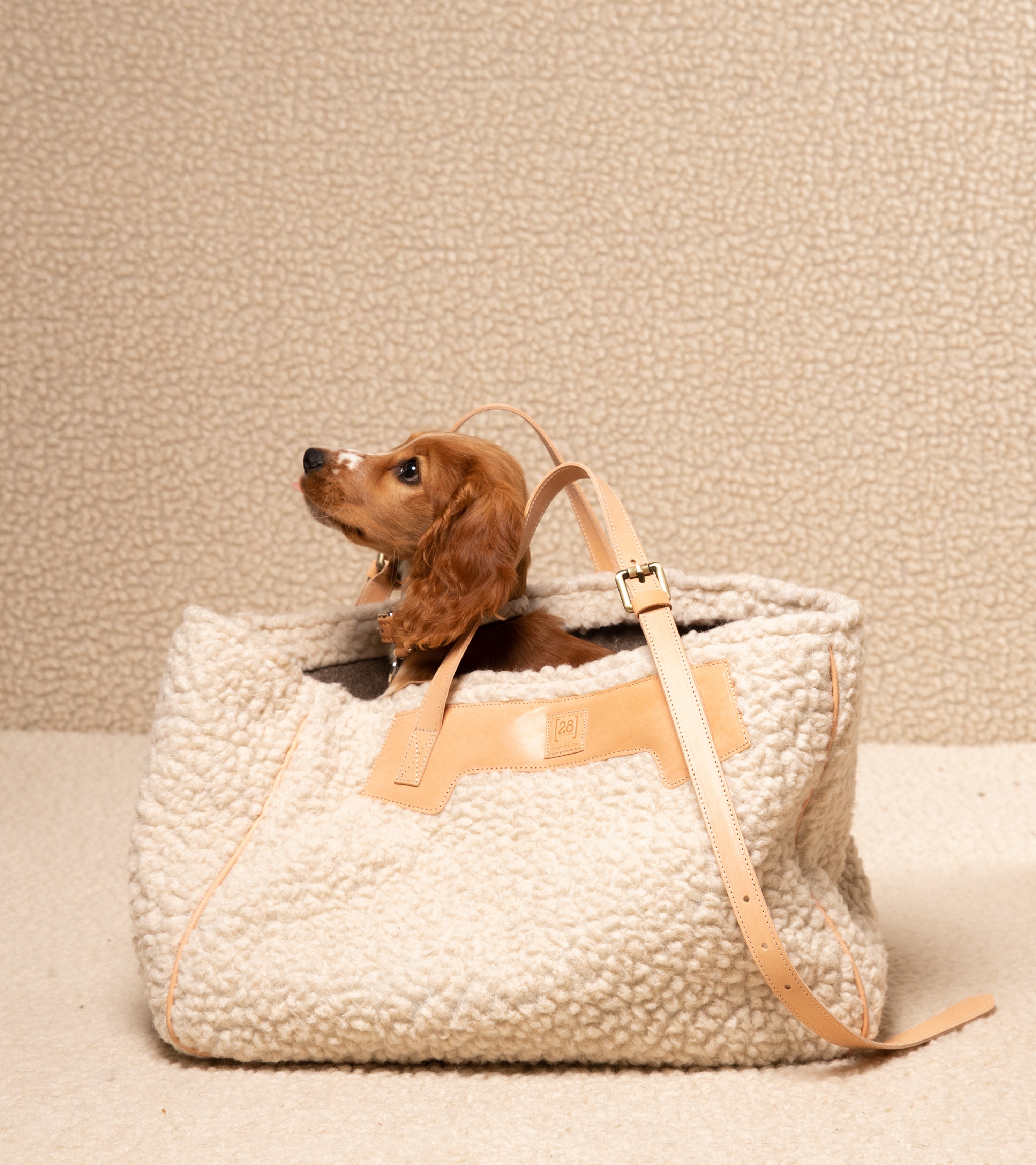 luxury-dog-accessories.jpg